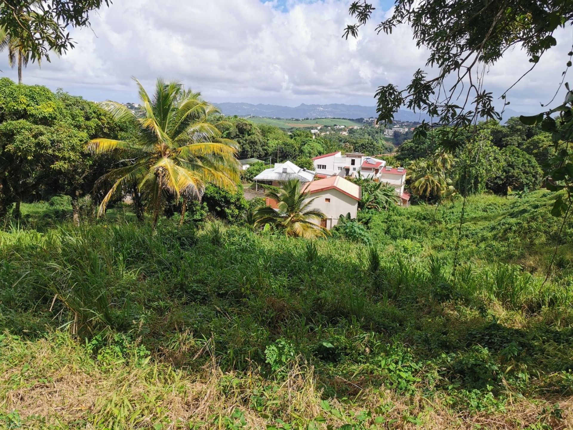 Muu sisään Cap Estate, Gros-Islet 12446824