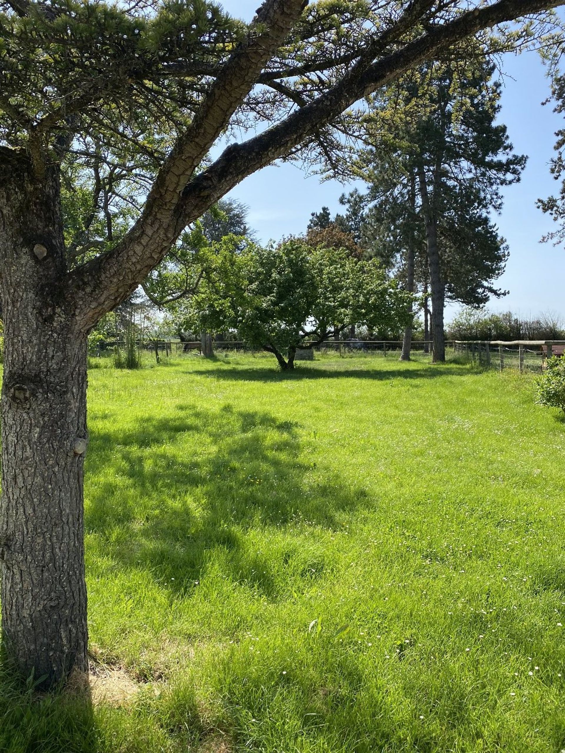 Kommerziell im Bréval, Île-de-France 12446846