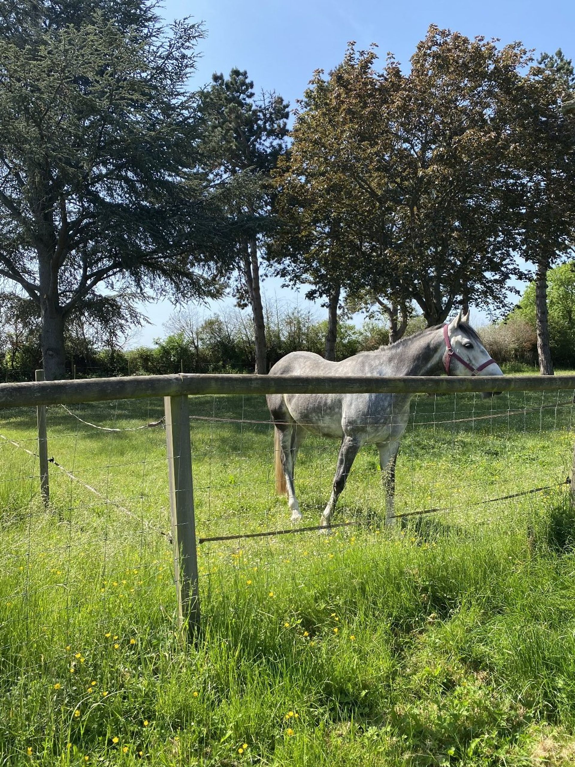 Commerciale nel Bréval, Île-de-France 12446846