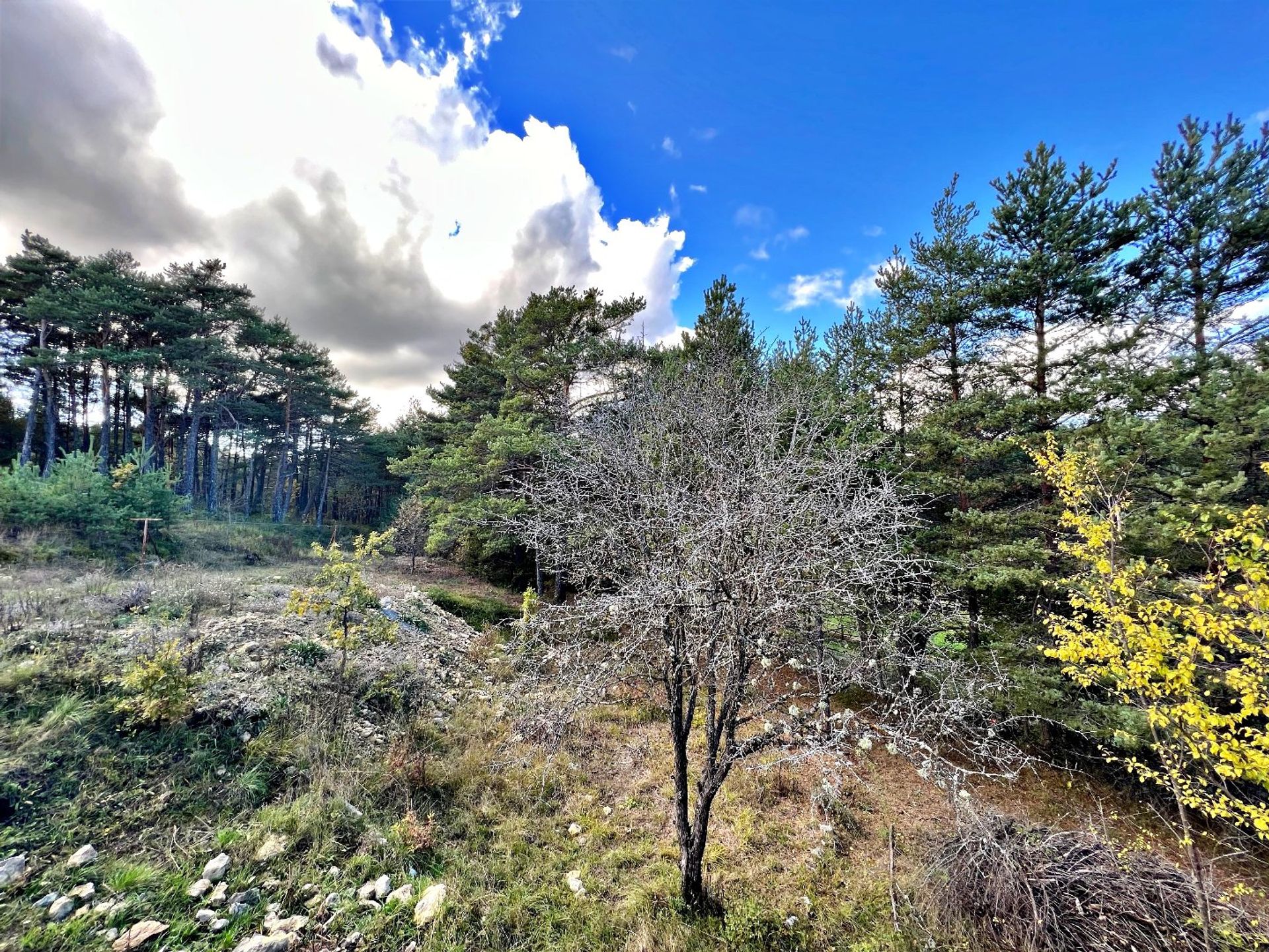 Rumah di La Martre, Provence-Alpes-Côte d'Azur 12447018