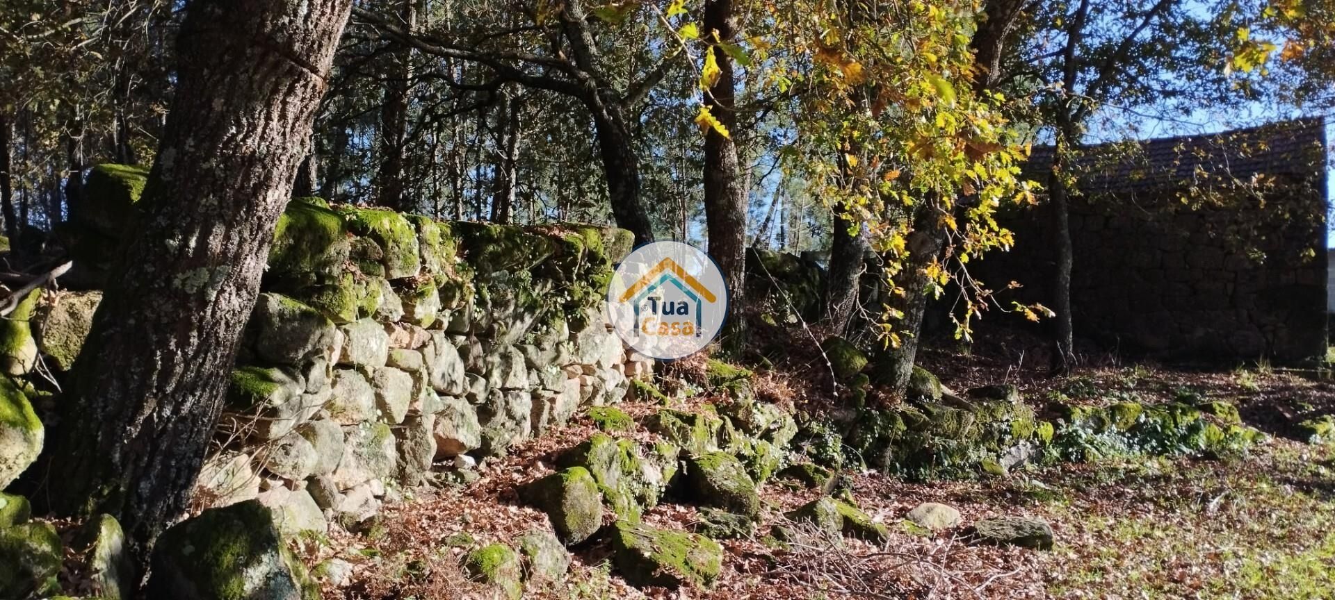 Terre dans Bodiosa, Viseu District 12447780