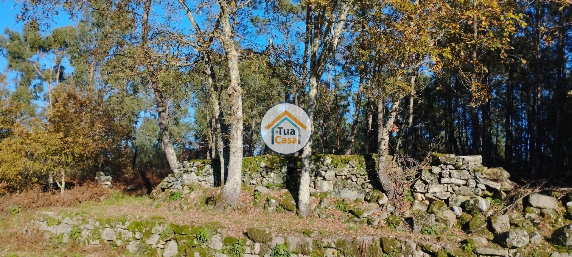 Terre dans Bodiosa, Viseu District 12447780