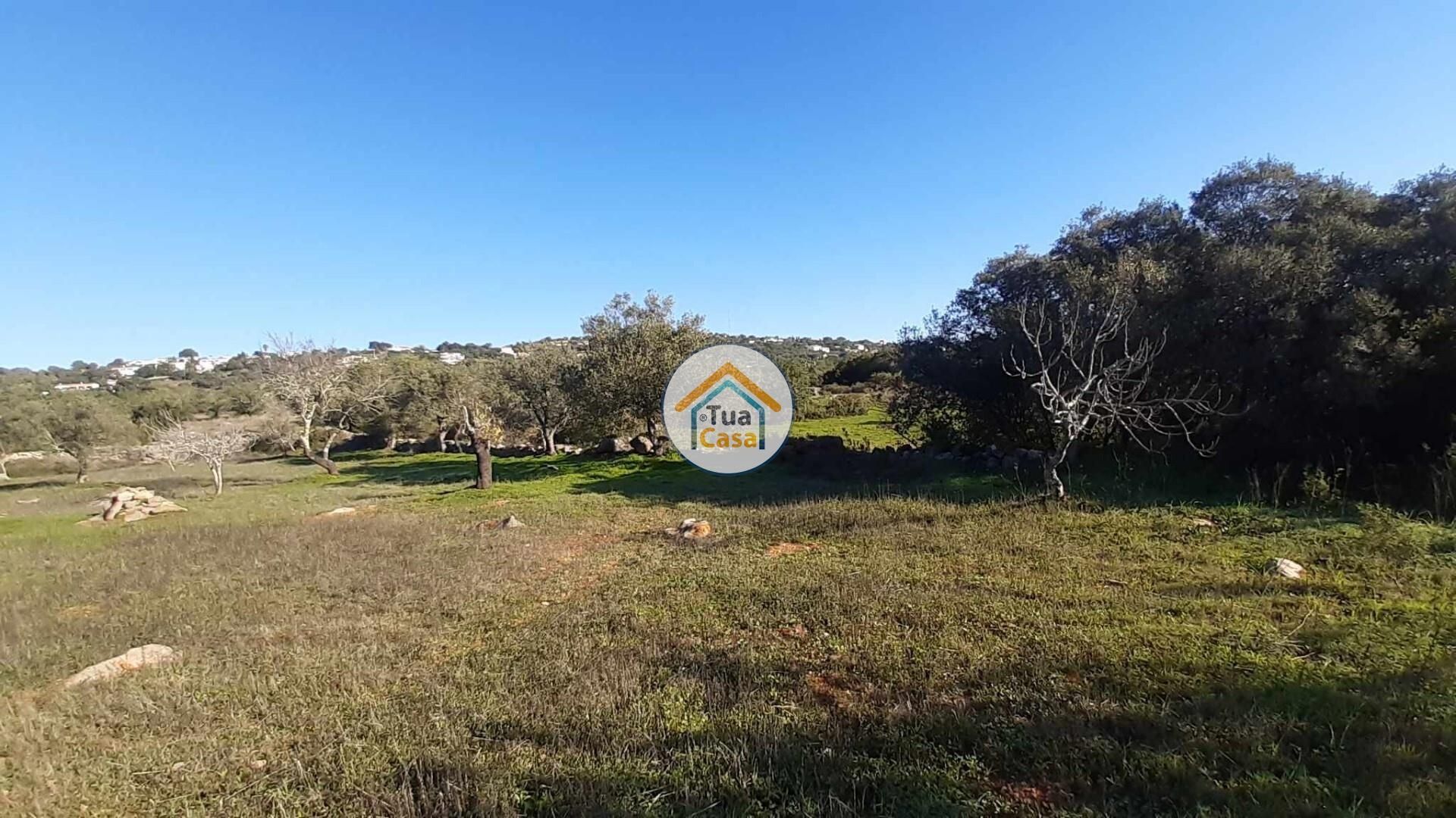 Tierra en São Brás de Alportel, Faro District 12447781