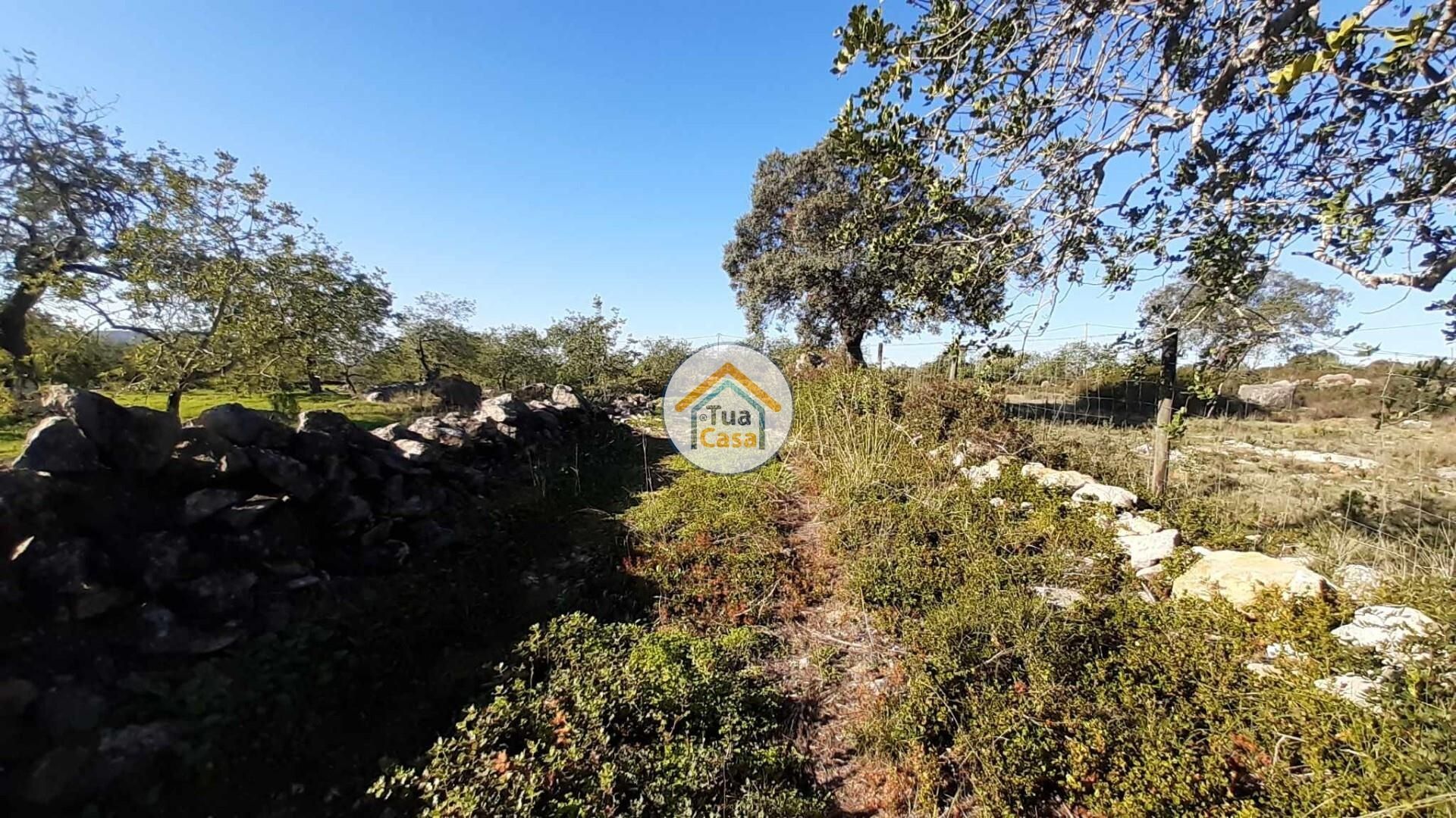 Tierra en São Brás de Alportel, Faro District 12447781