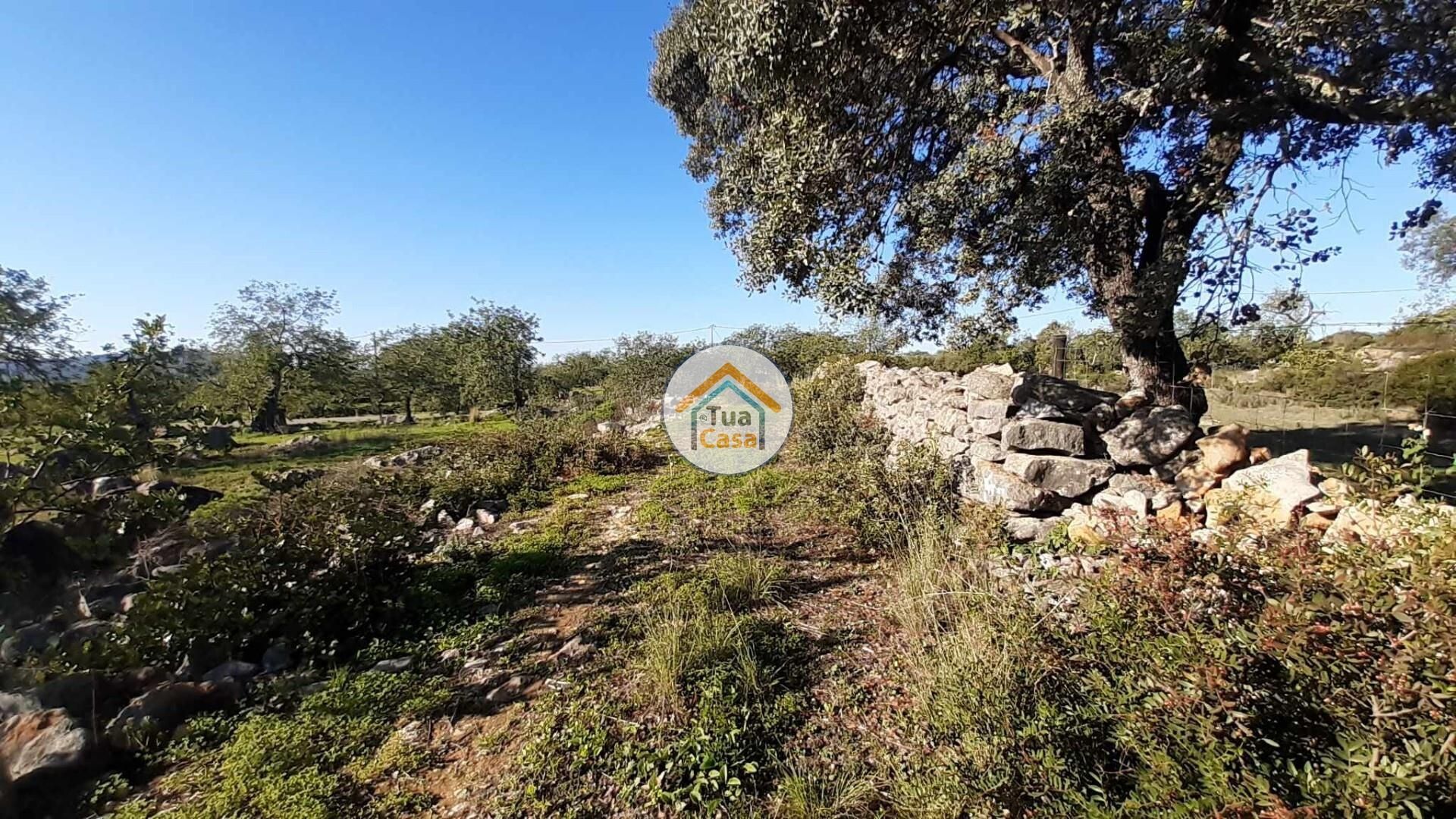 Tierra en São Brás de Alportel, Faro District 12447781