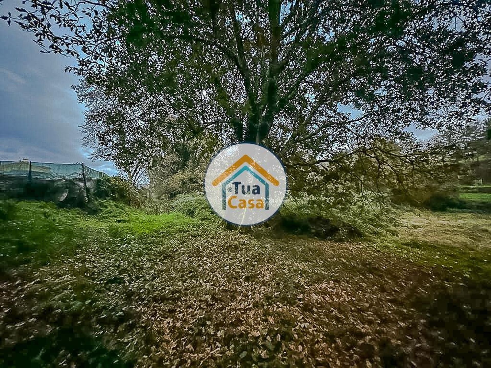 Terra no São Pedro do Sul, Viseu 12447782