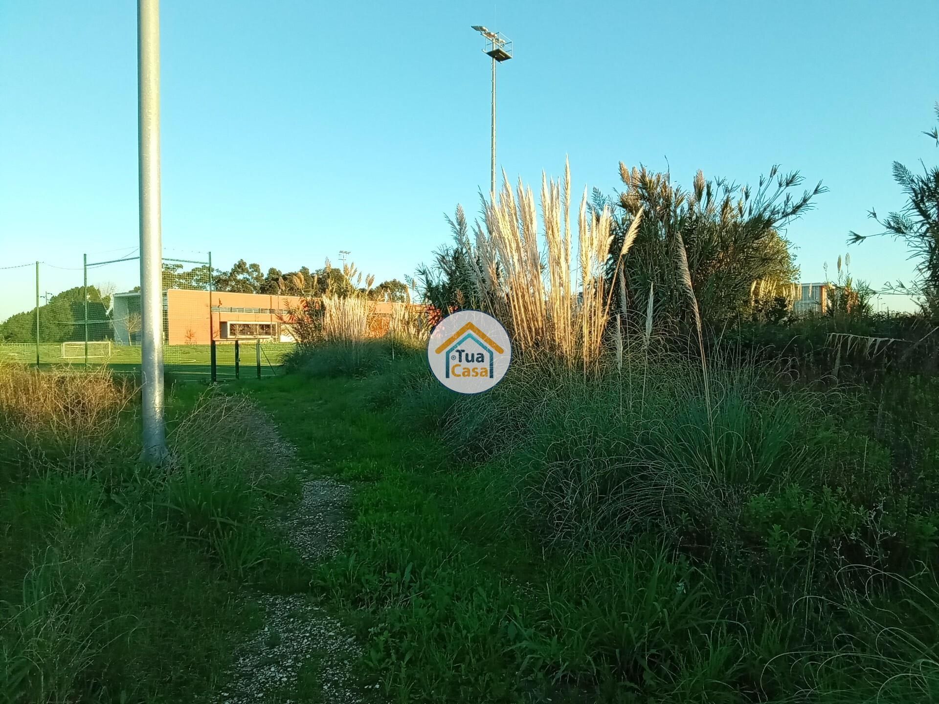 Tanah di , Aveiro District 12447783