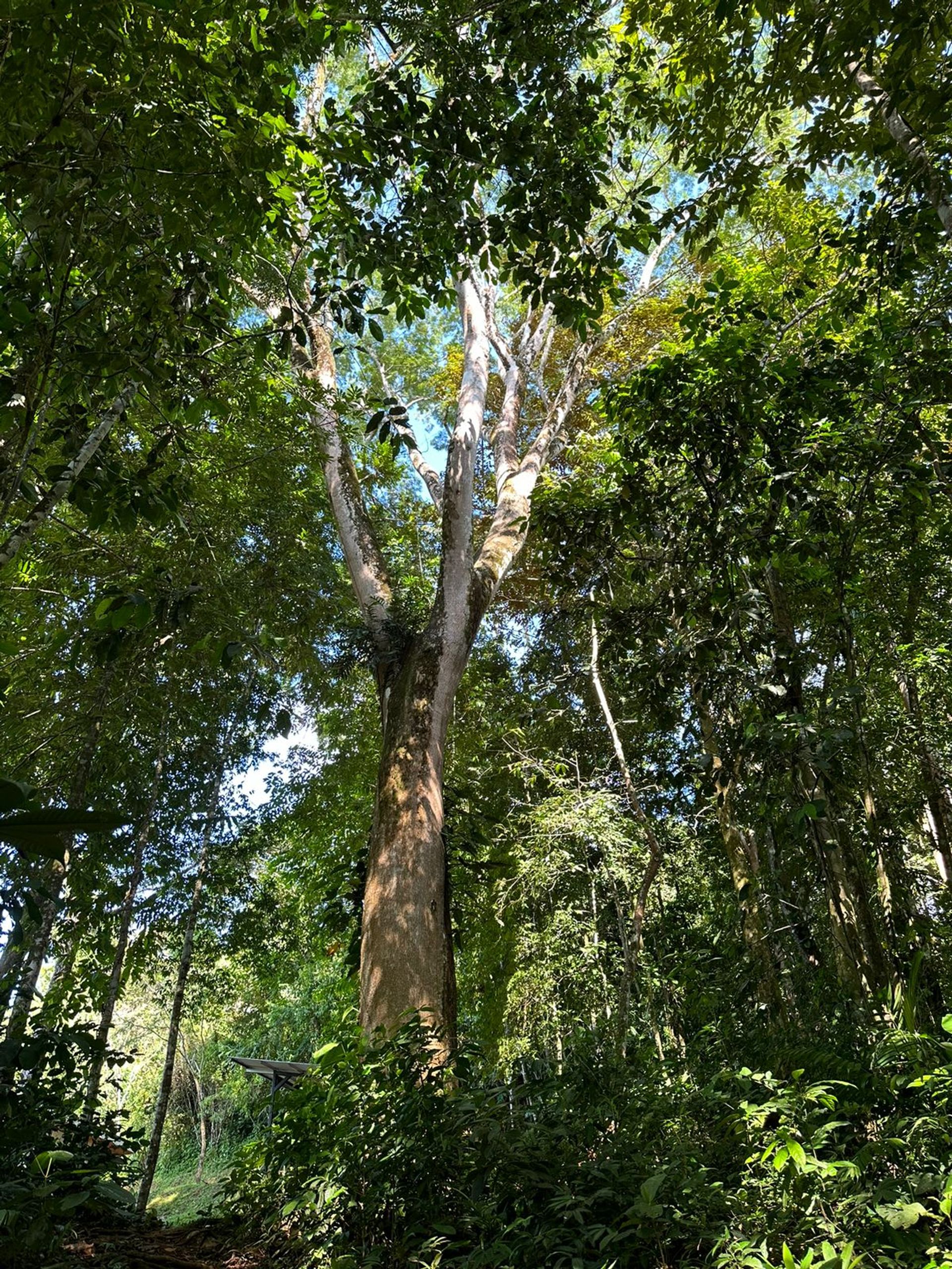 بيت في , Puntarenas Province 12449390