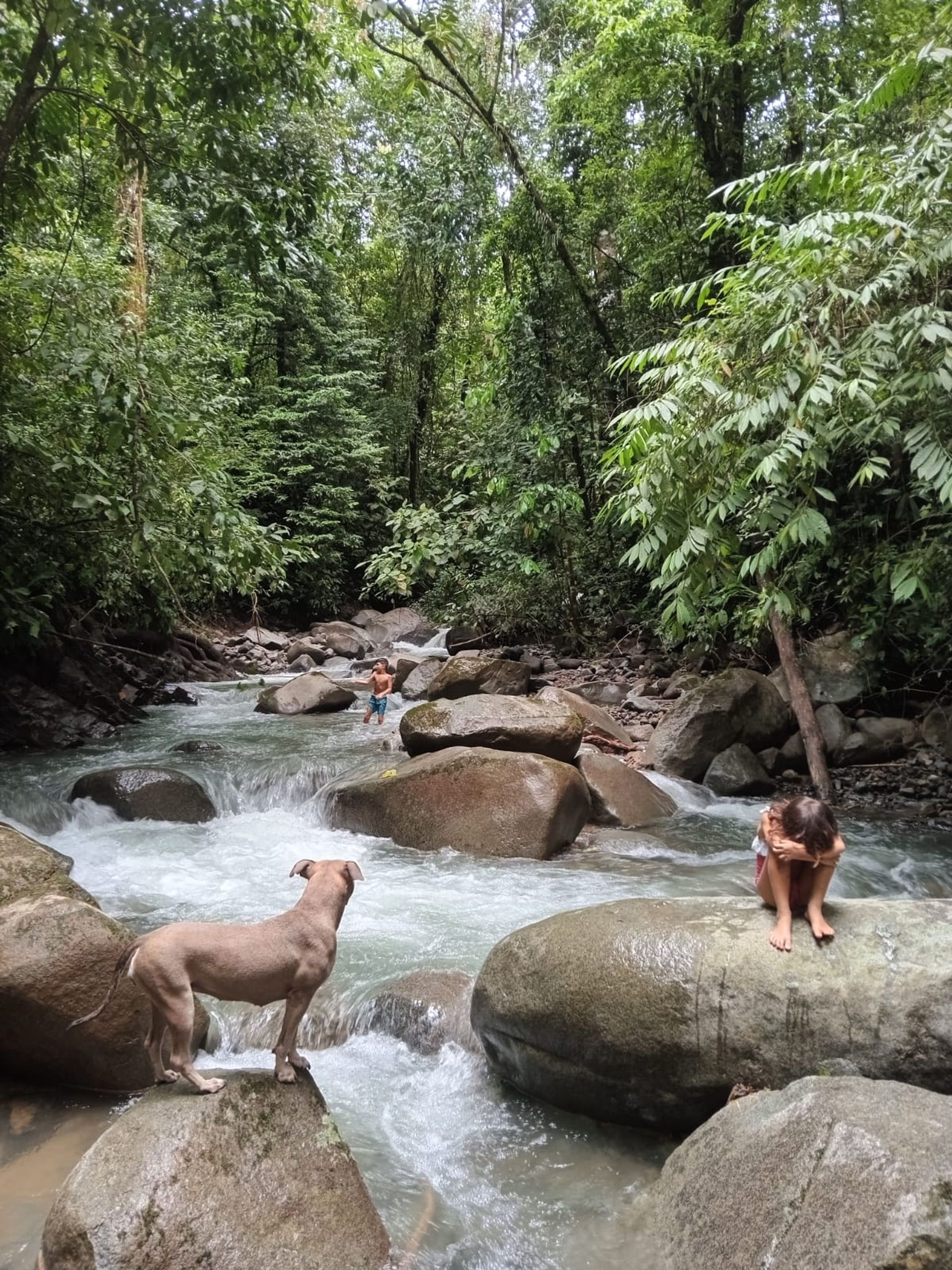 بيت في , Puntarenas Province 12449390