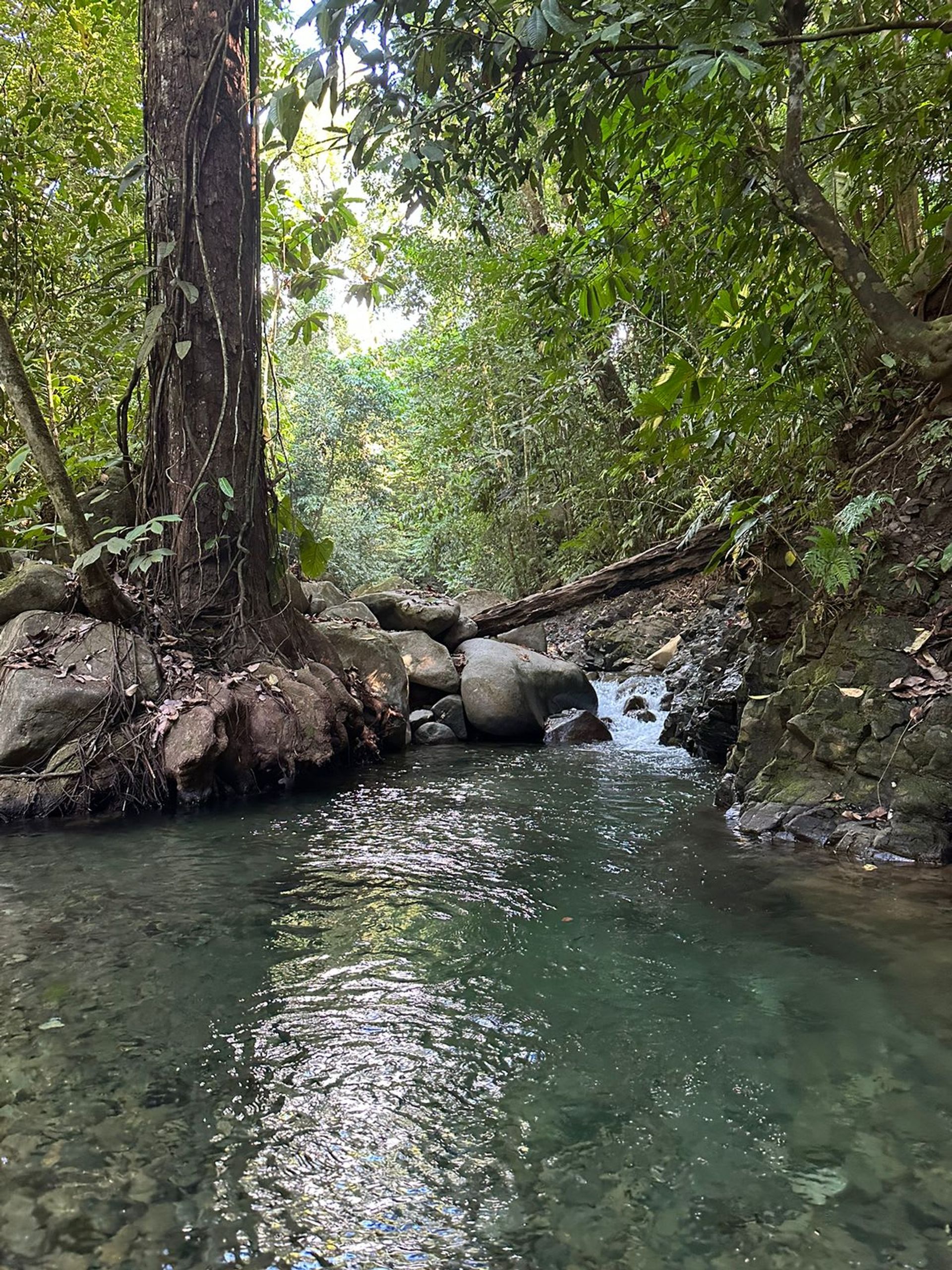 بيت في , Puntarenas Province 12449390