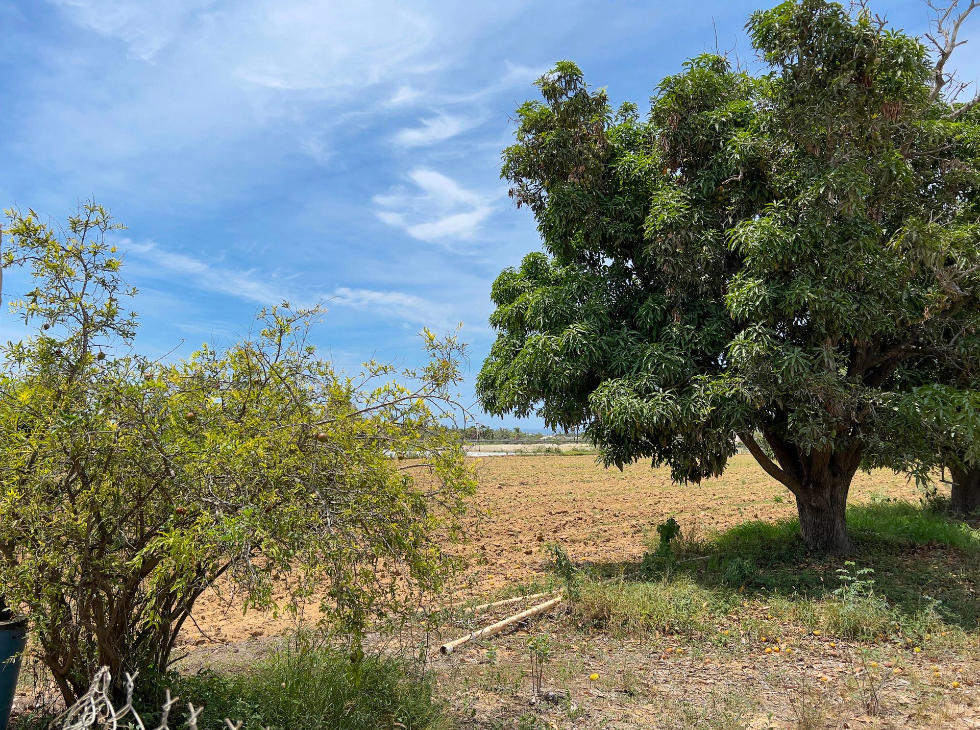 ארץ ב Hanga Roa, ולפראיסו 12449763