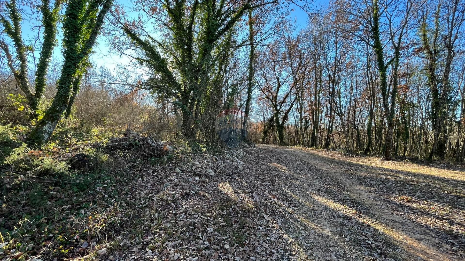 Land in Tinjan, Istarska županija 12450172