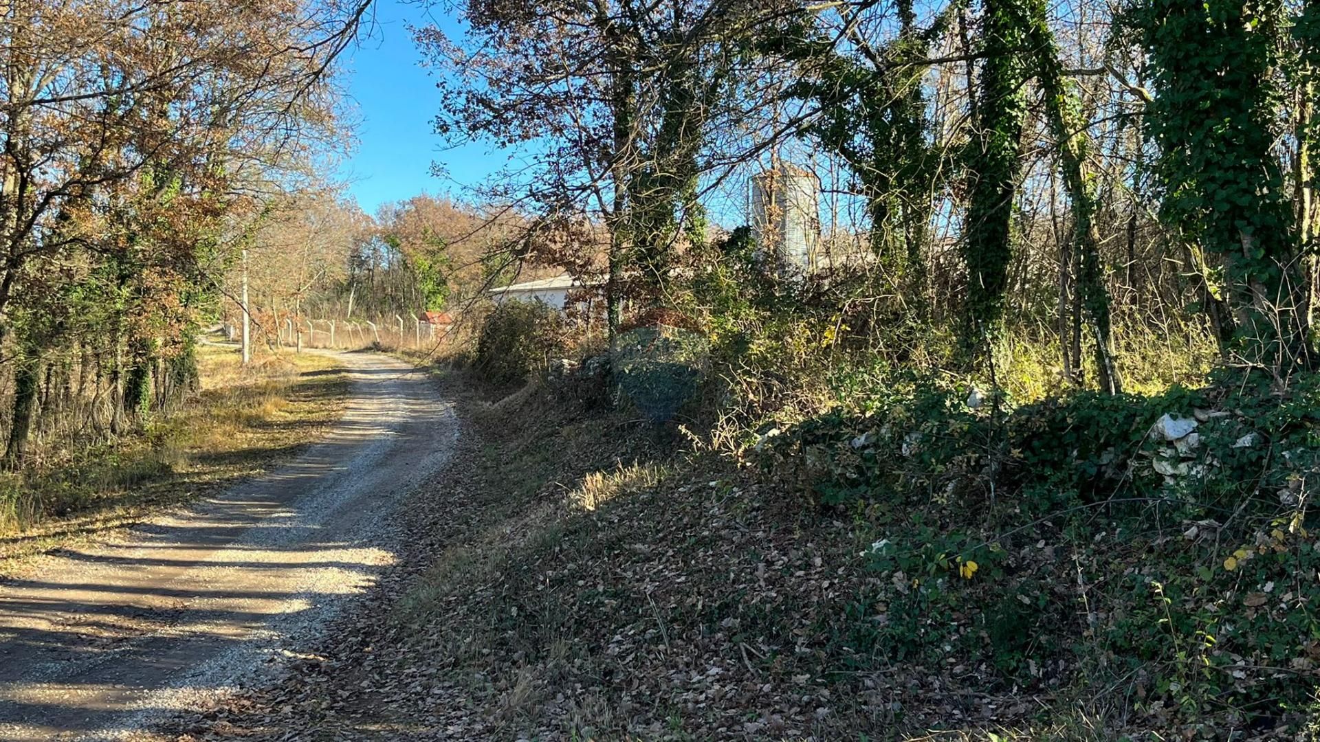 Land in Tinjan, Istarska županija 12450172