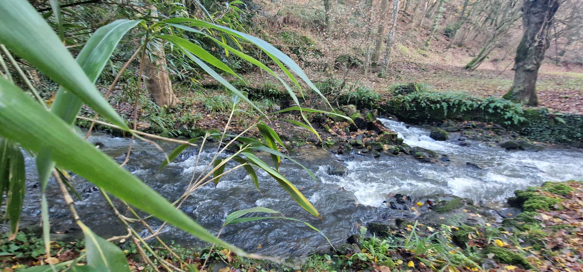 मकान में Dinan, Brittany 12450841