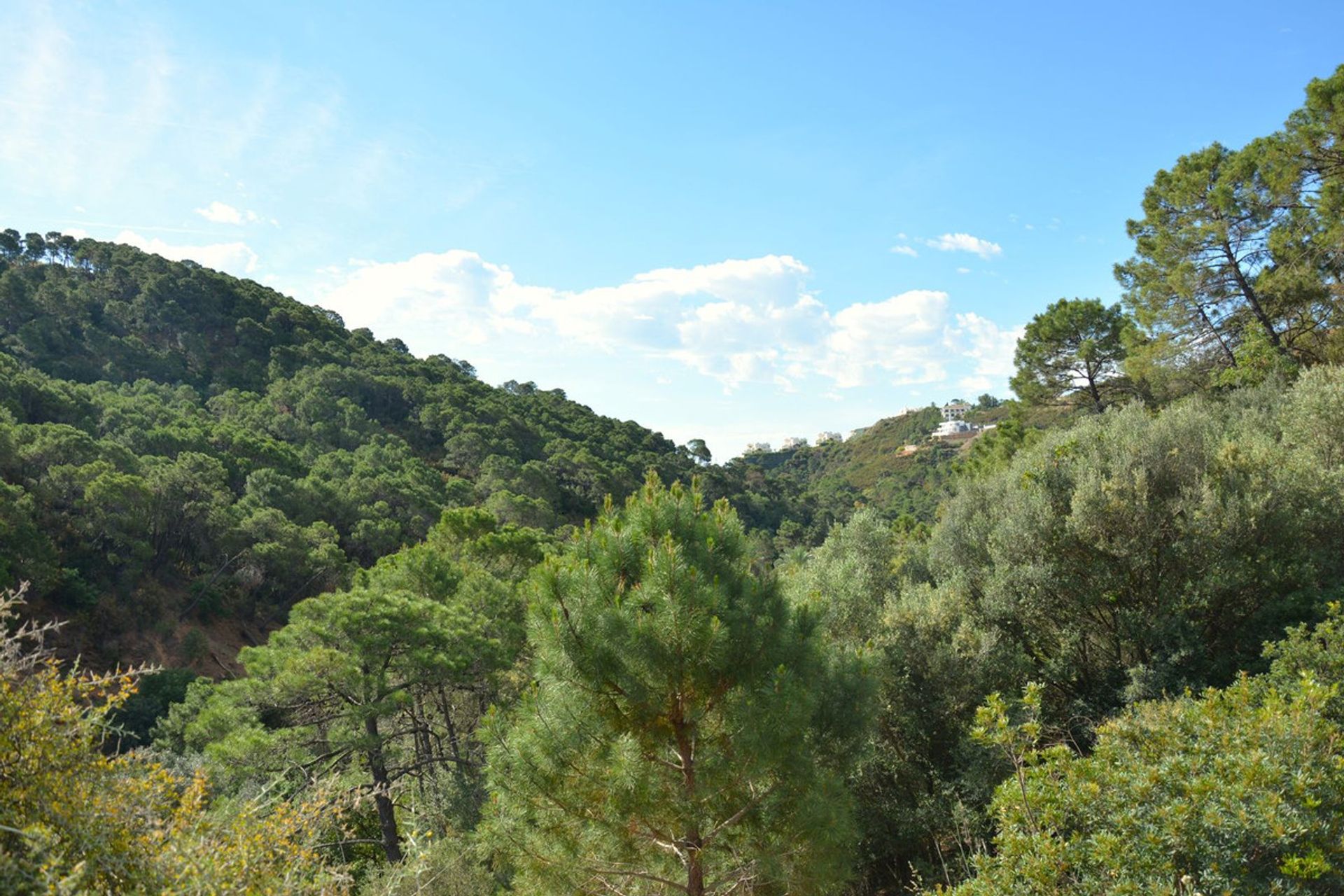 Land i Benahavis, Andalusia 12451000