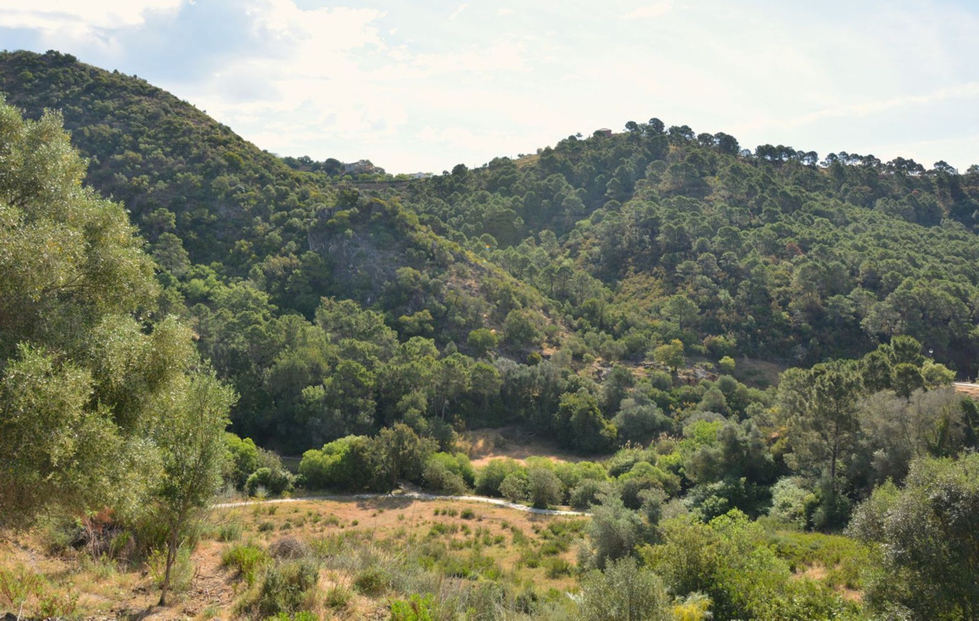 Land i Benahavis, Andalusia 12451000