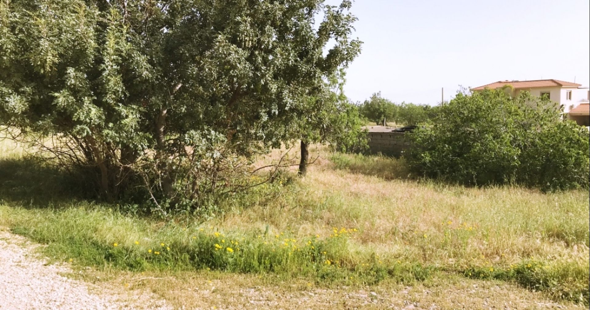 Land i Anarita, Paphos 12451421