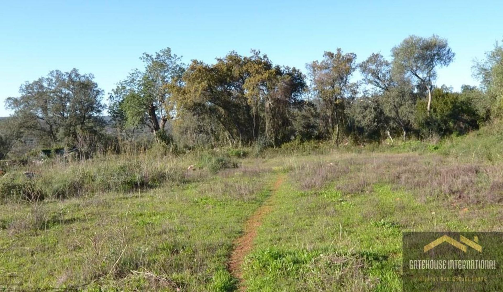 Tierra en Caños, Faraón 12451678