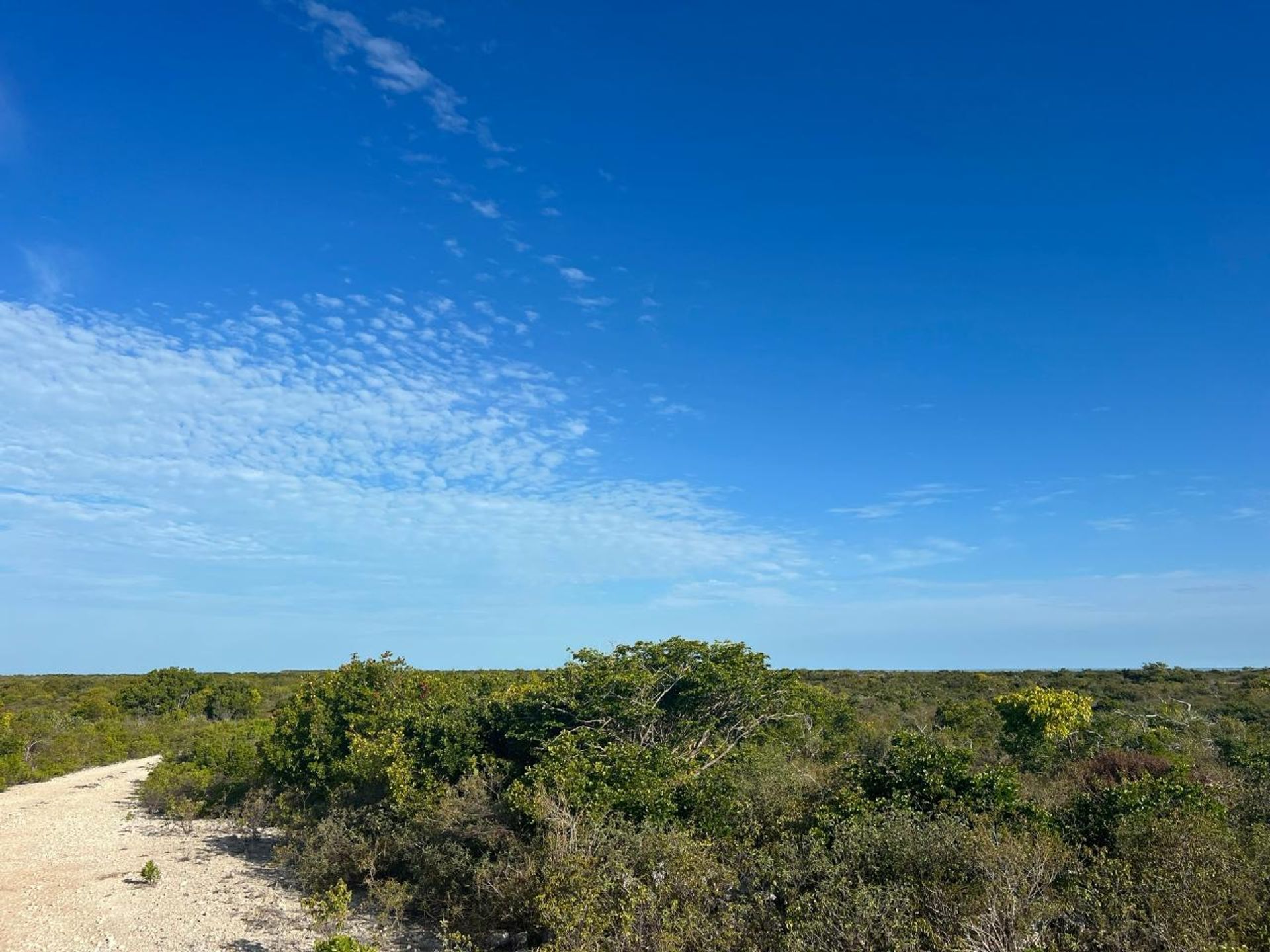 Maa sisään , Caicos Islands 12451930