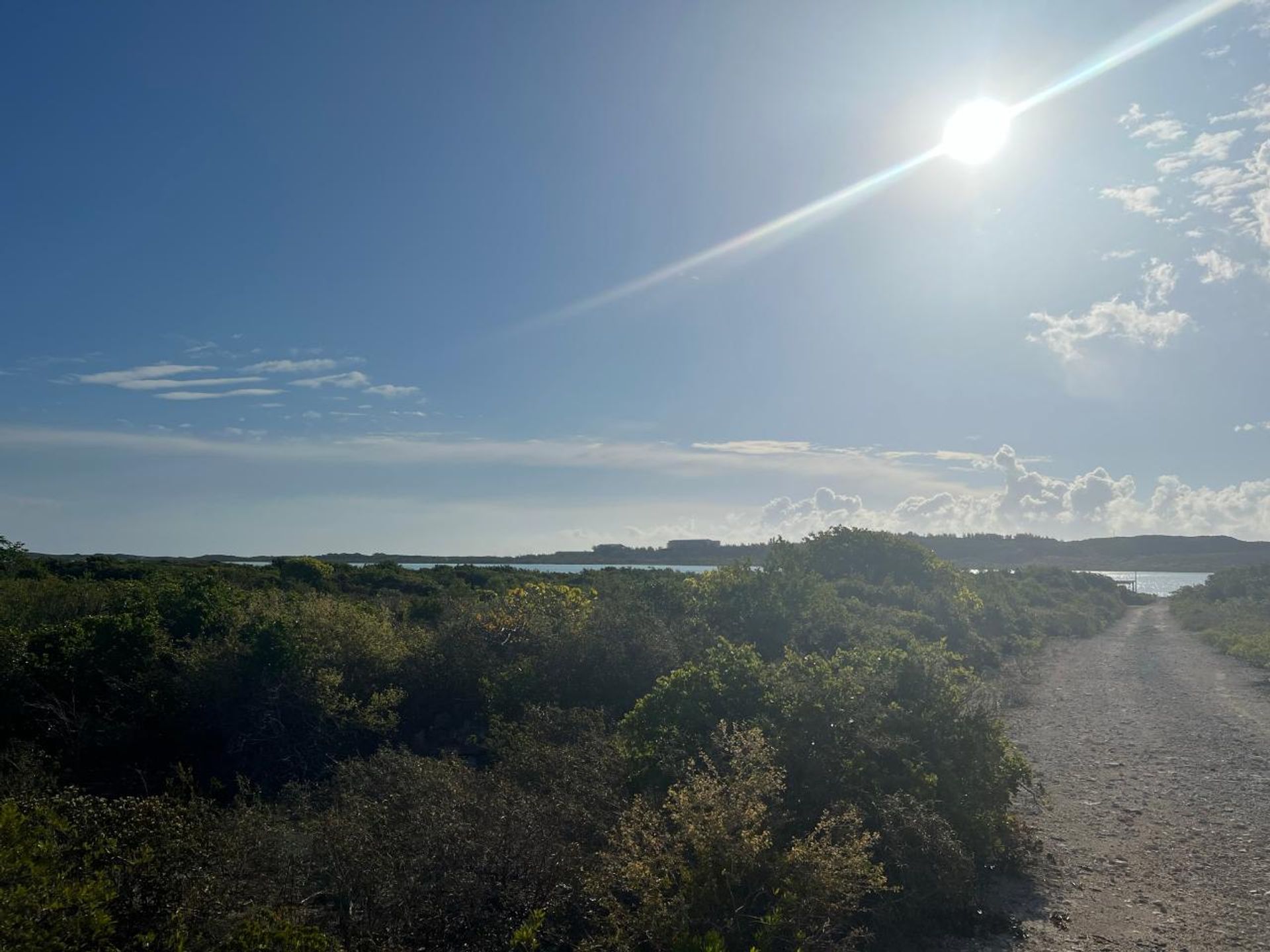 Sbarcare nel , Caicos Islands 12451933