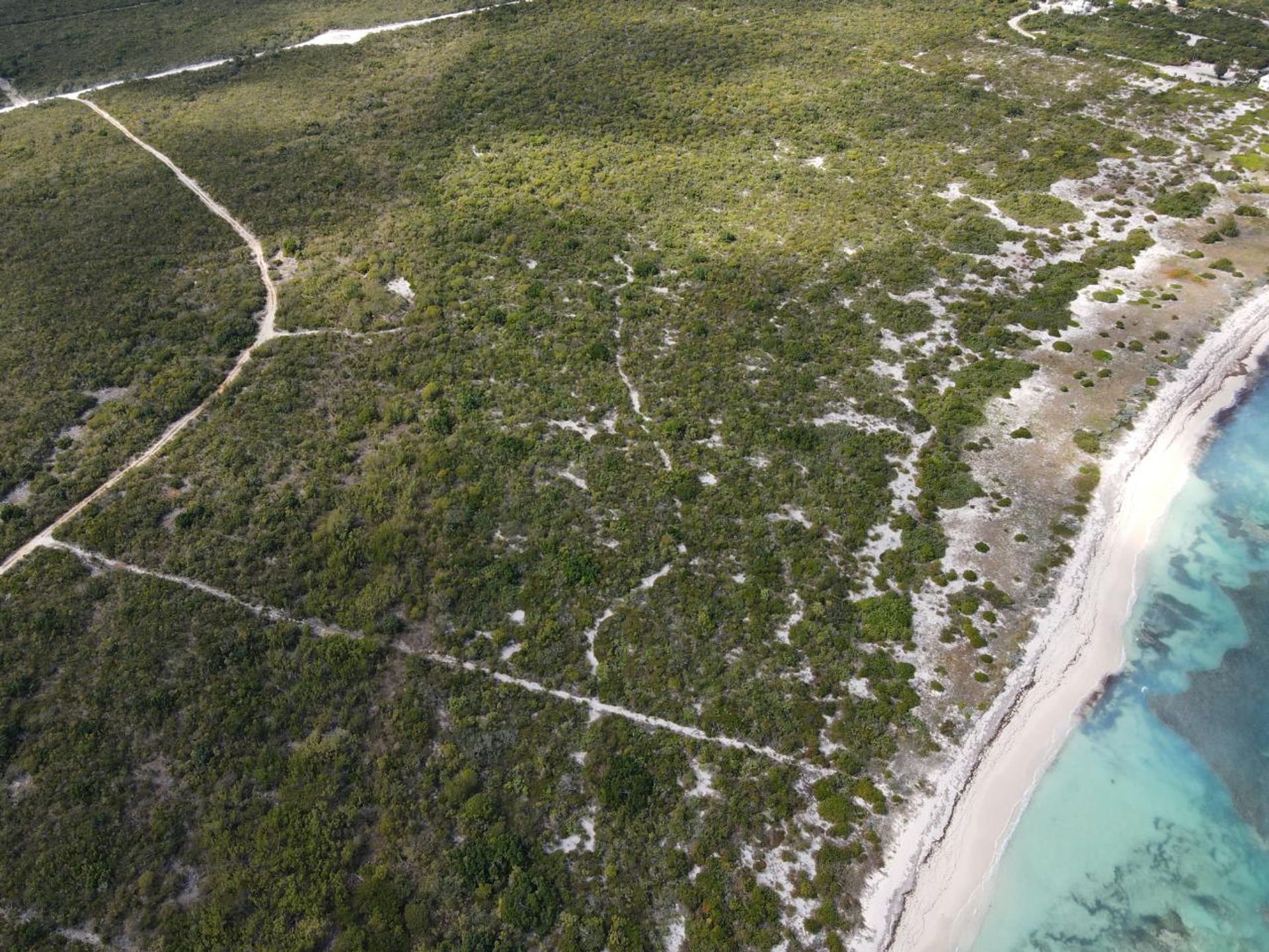 Jord i , Caicos Islands 12451942