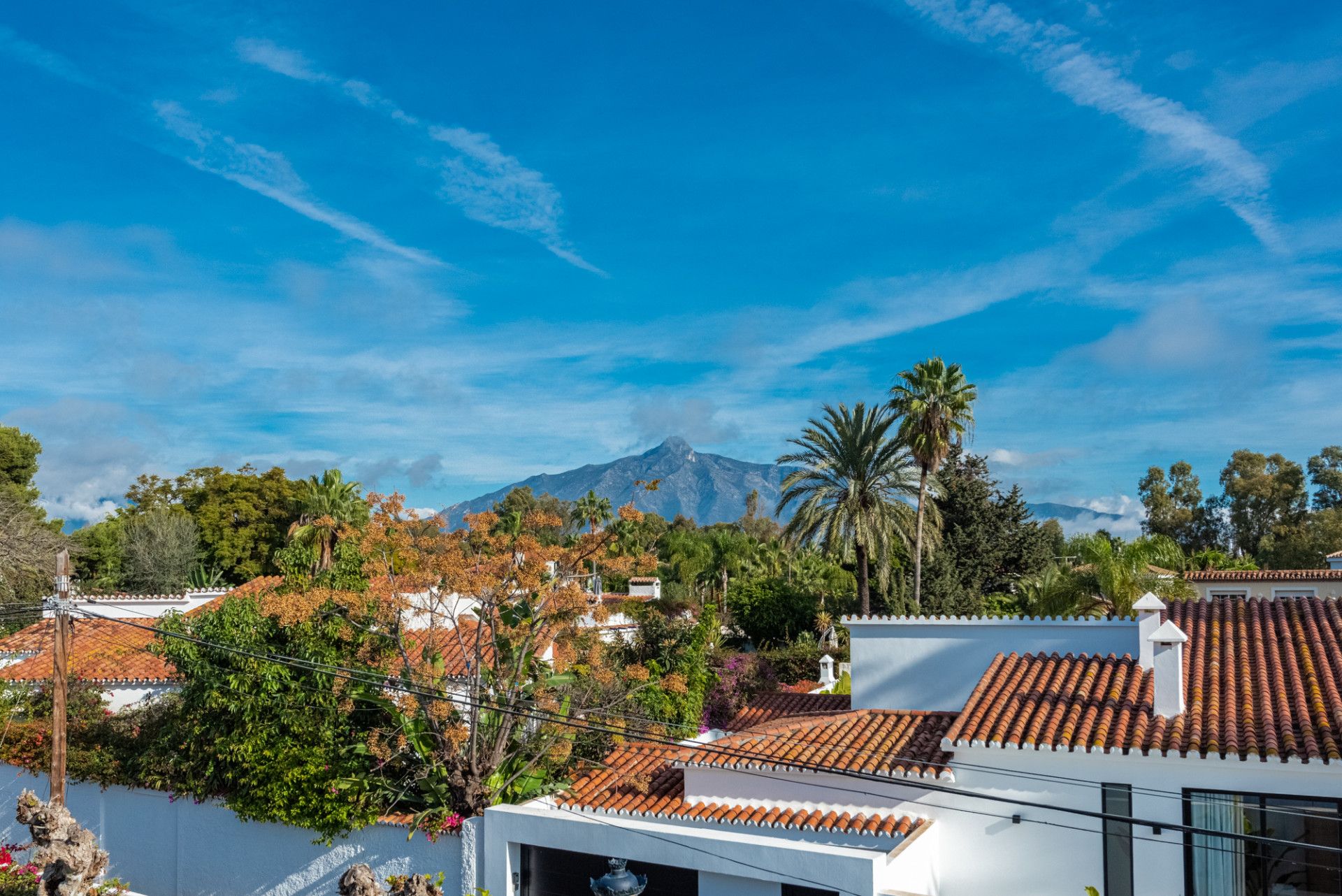 casa en San Pedro Alcántara, Andalucía 12452270