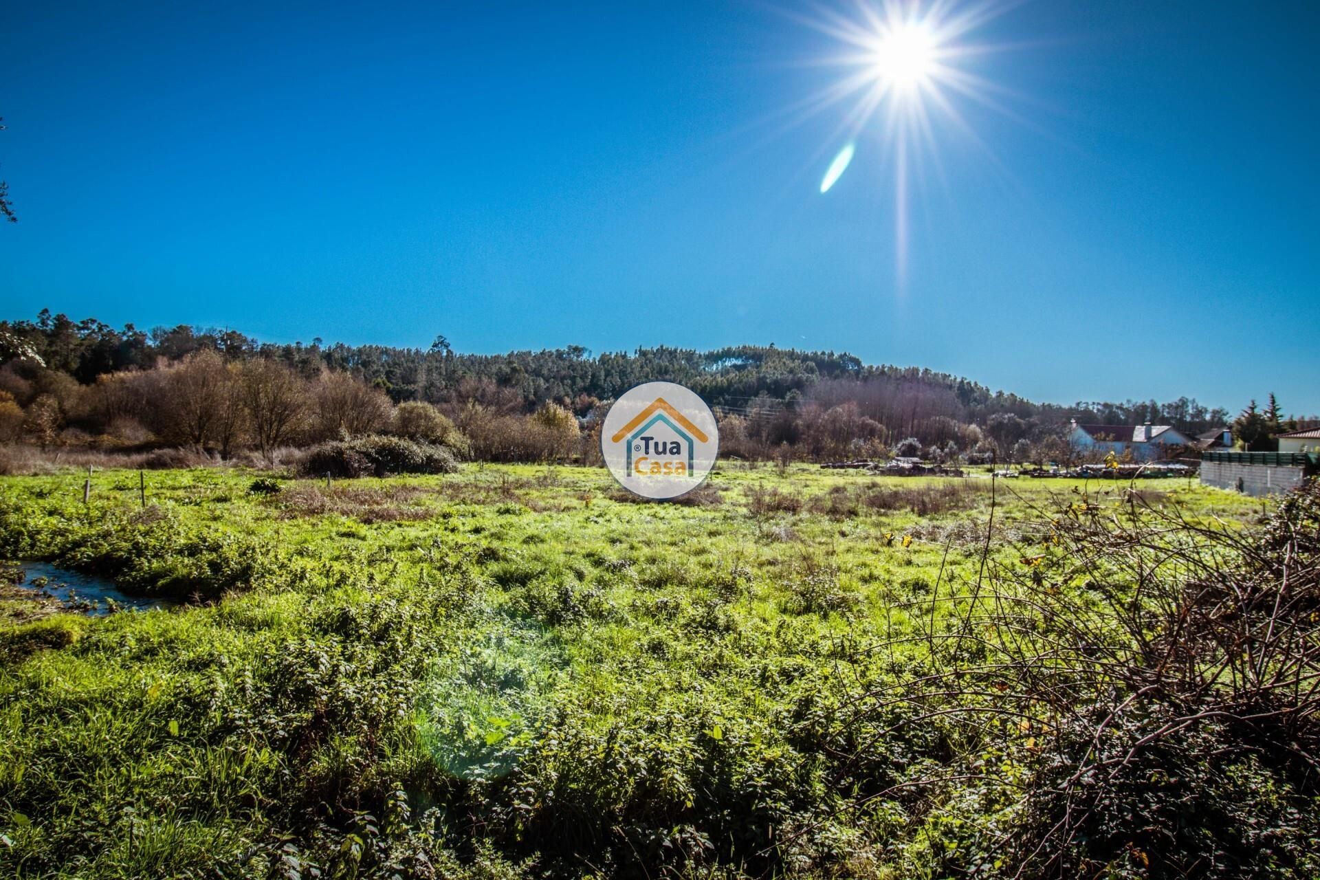 土地 在 , Viseu District 12452292