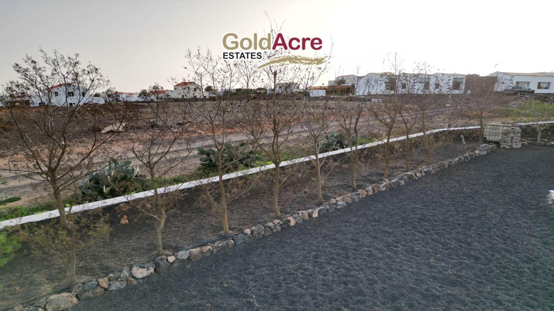 Tierra en La Oliva, Canarias 12453096