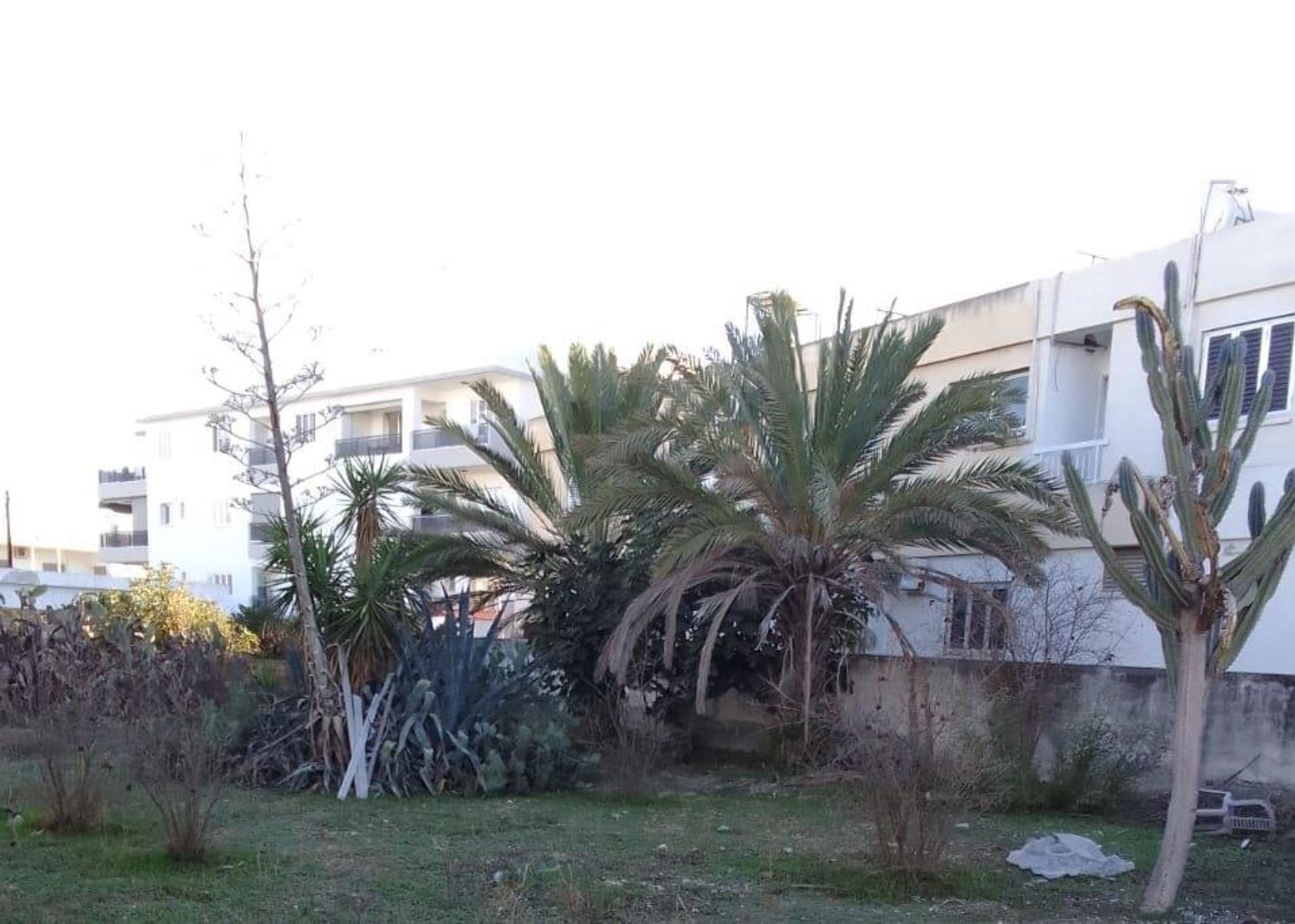 Tanah dalam Strovolos, Nicosia 12454546