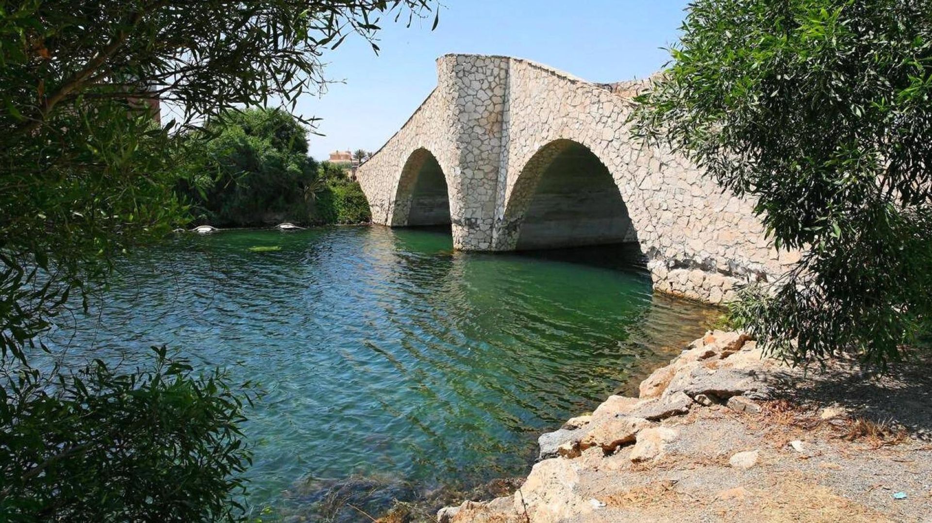 Borettslag i Murcia, Región de Murcia 12454887