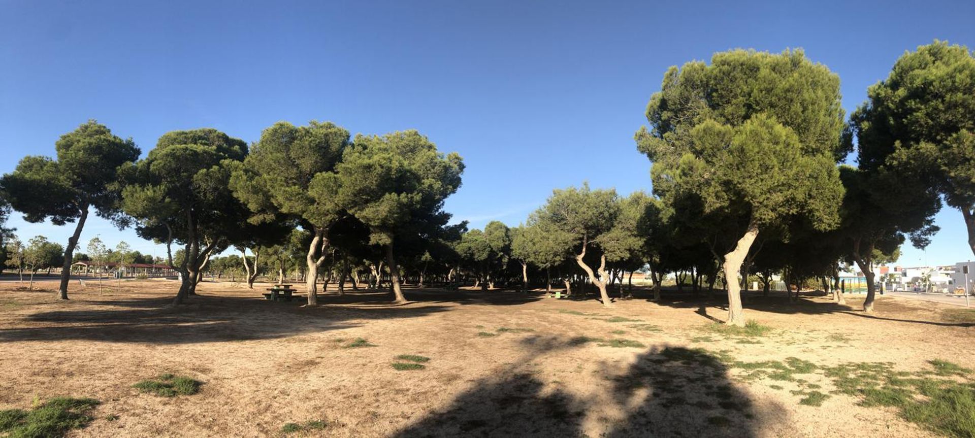 rumah dalam San Javier, Región de Murcia 12454943