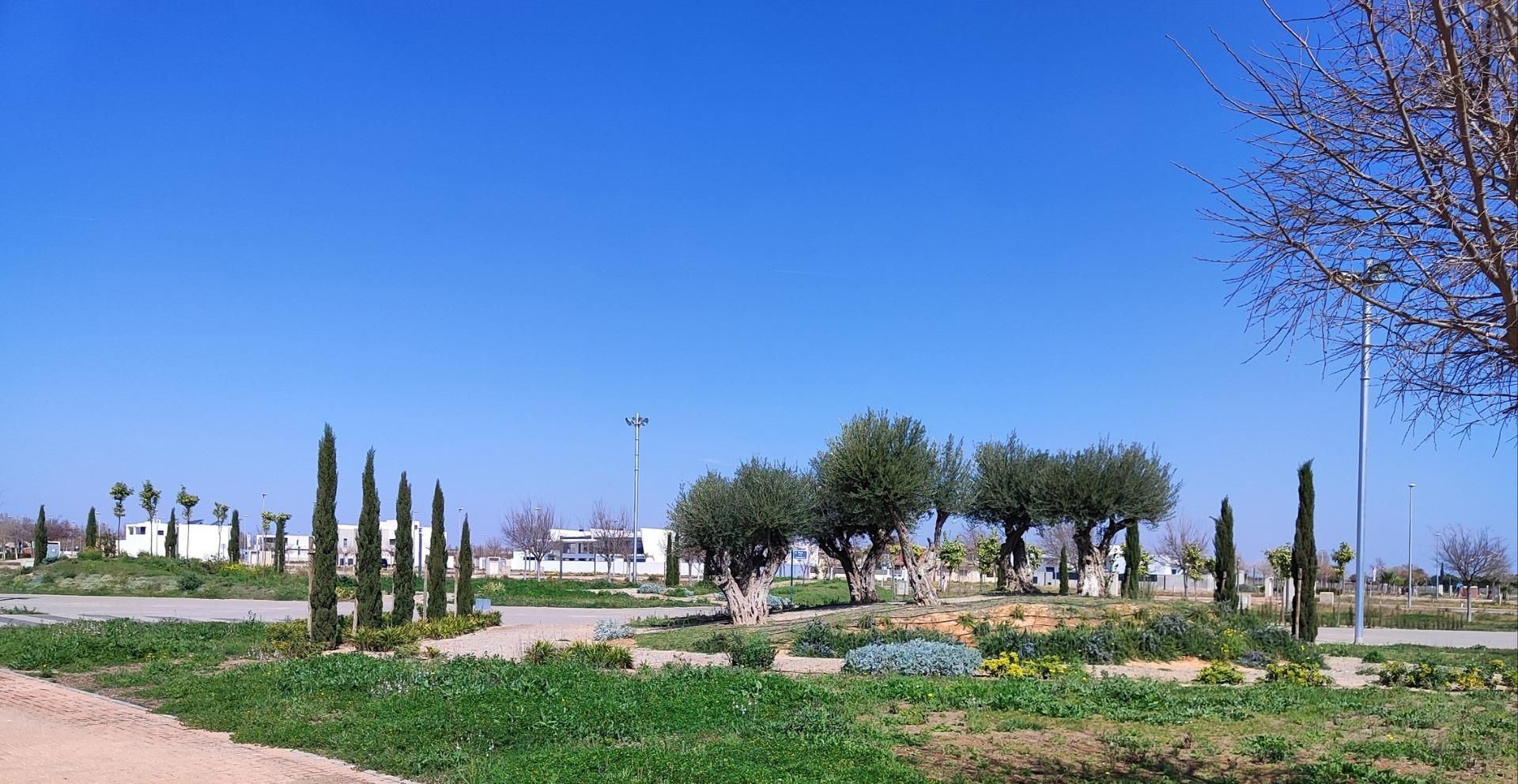 Συγκυριαρχία σε Torre-Pacheco, Región de Murcia 12455129