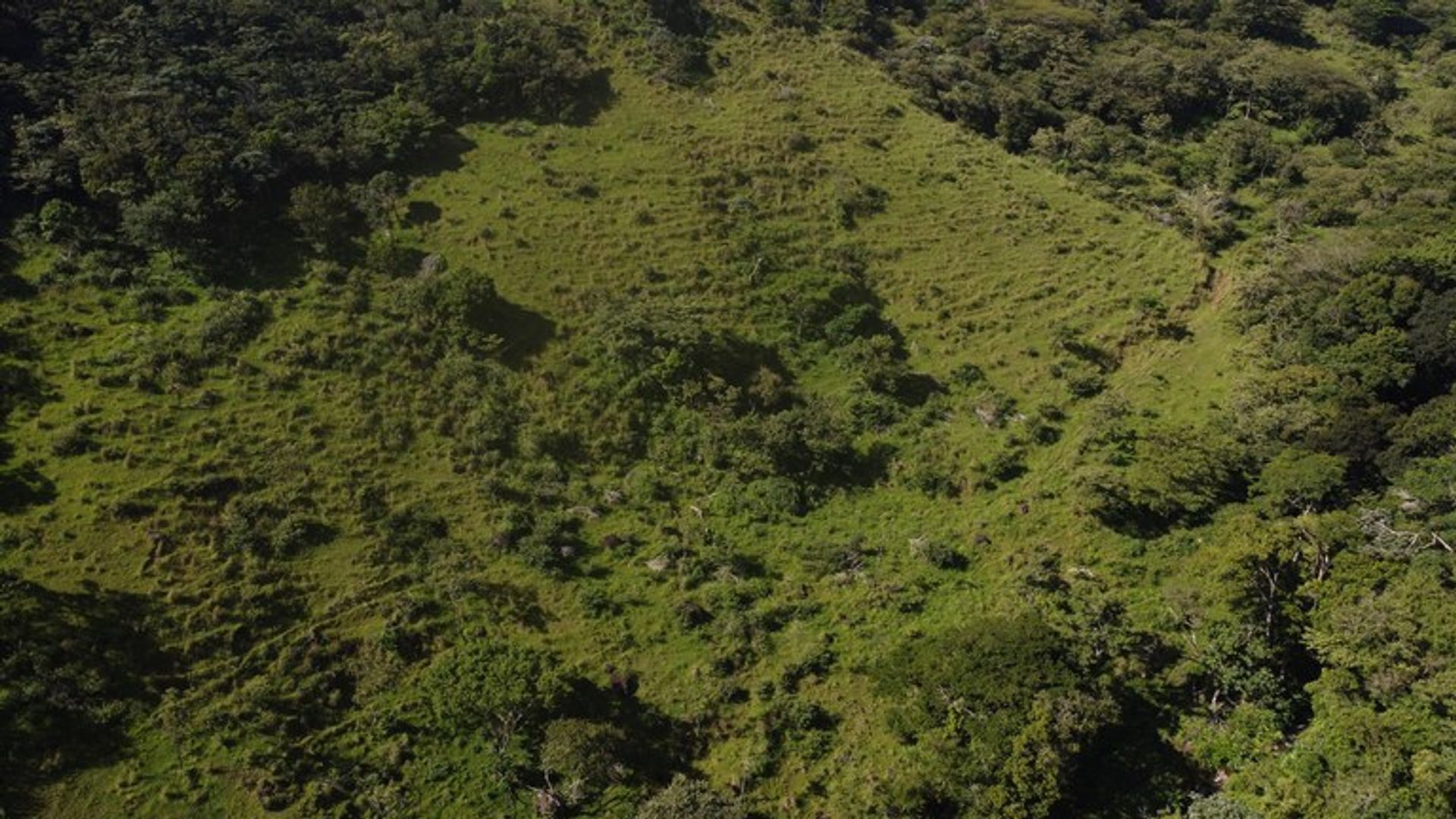 Talo sisään Canas, Guanacaste 12455340