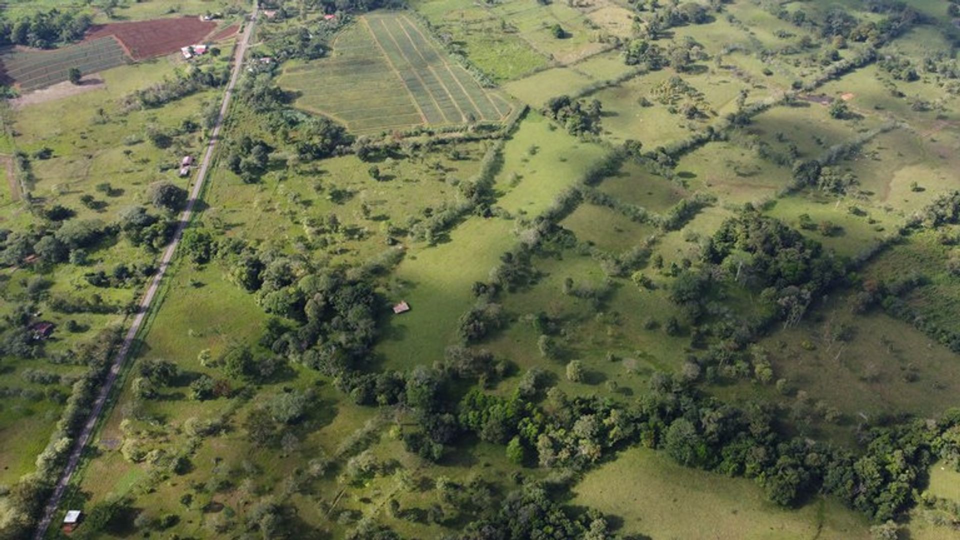 Muu sisään Canas, Guanacaste 12455345