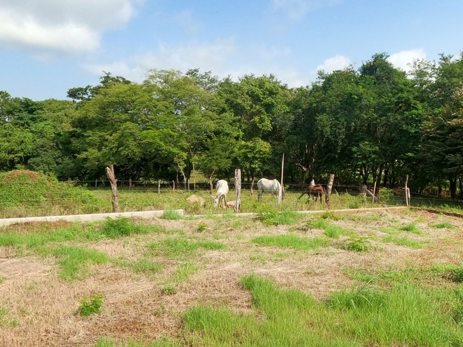 Land i Villareal, Guanacaste Province 12455353