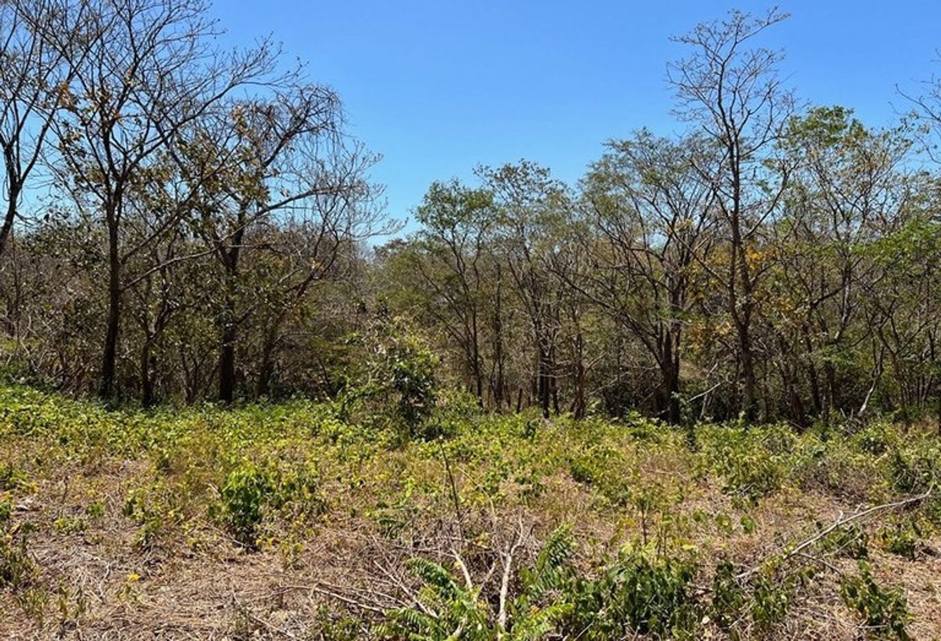 Osakehuoneisto sisään Angeles, Guanacaste 12455355