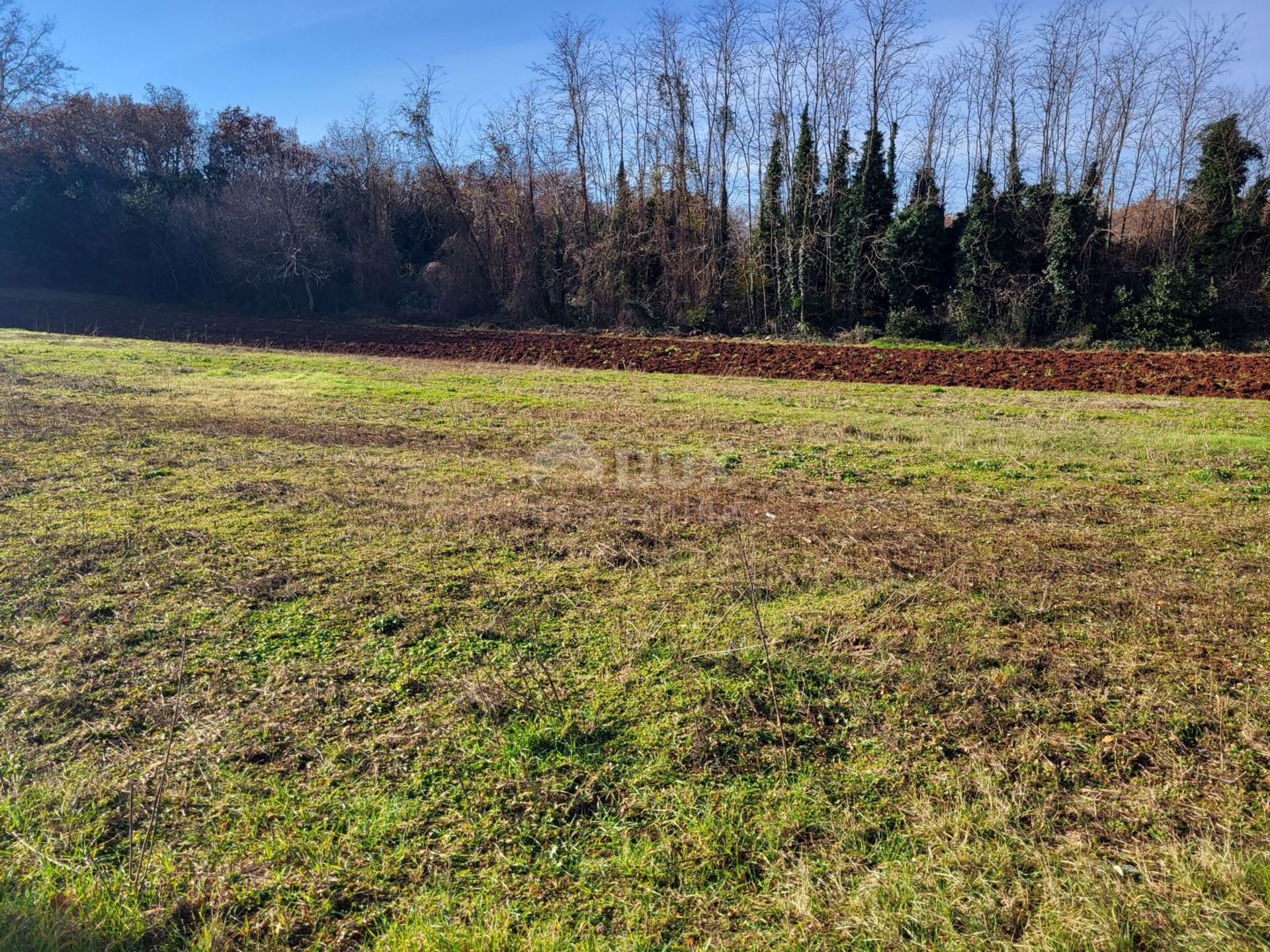 Land in Umag, Istria County 12455839