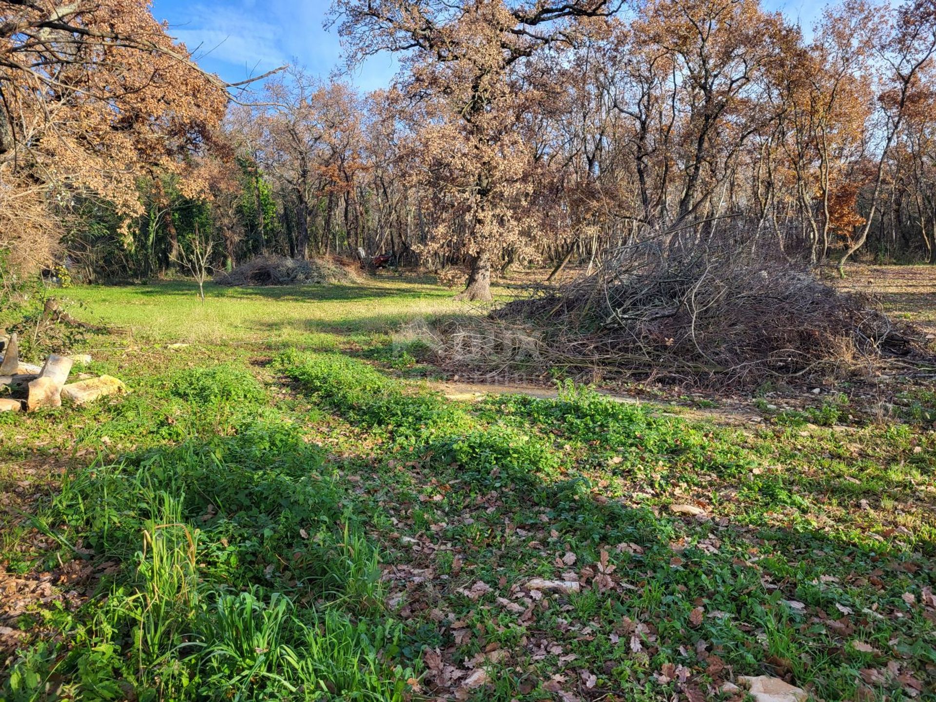 Land in Kmeti, Istarska Zupanija 12455842