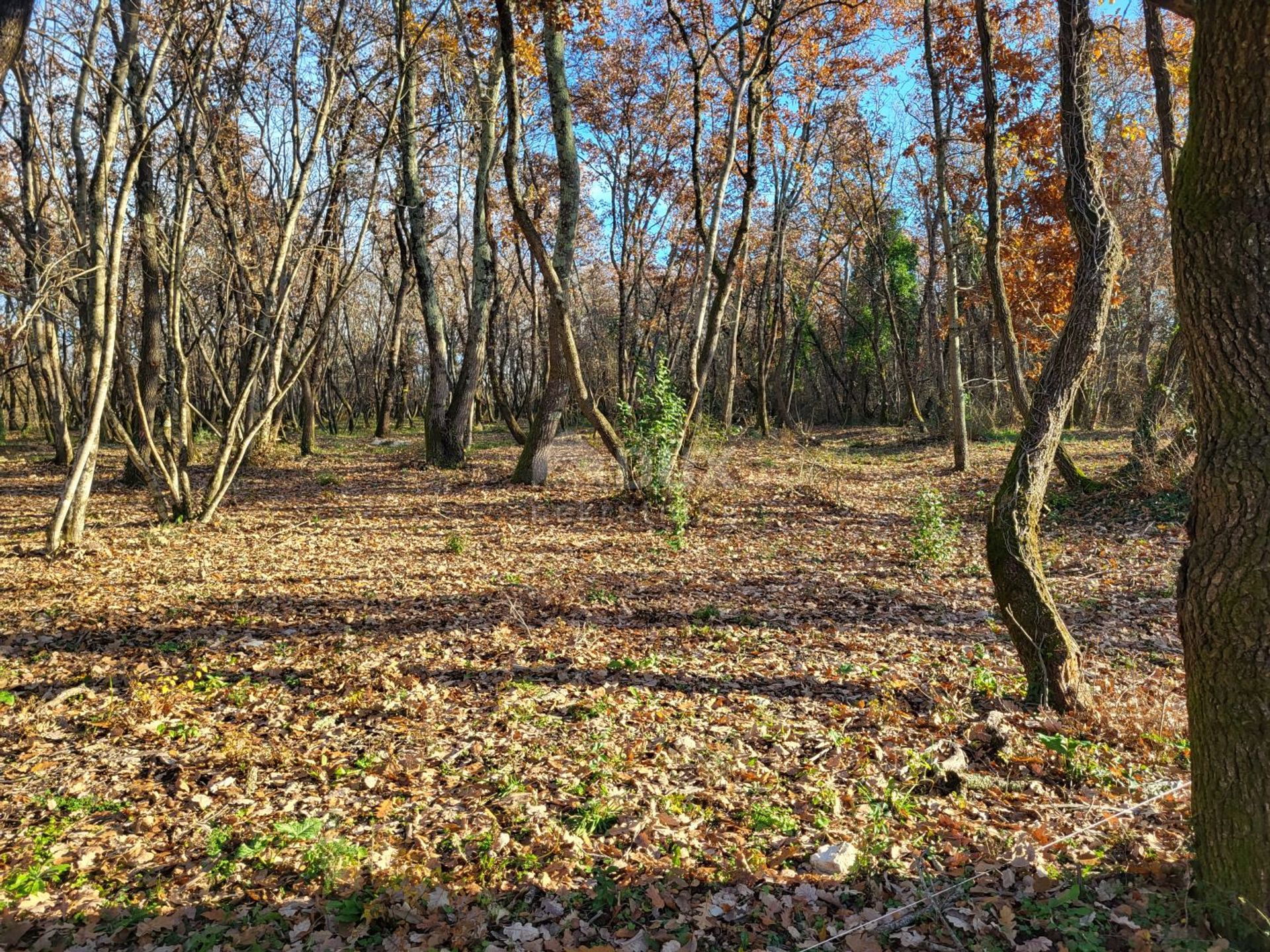 Land in Kmeti, Istarska Zupanija 12455842