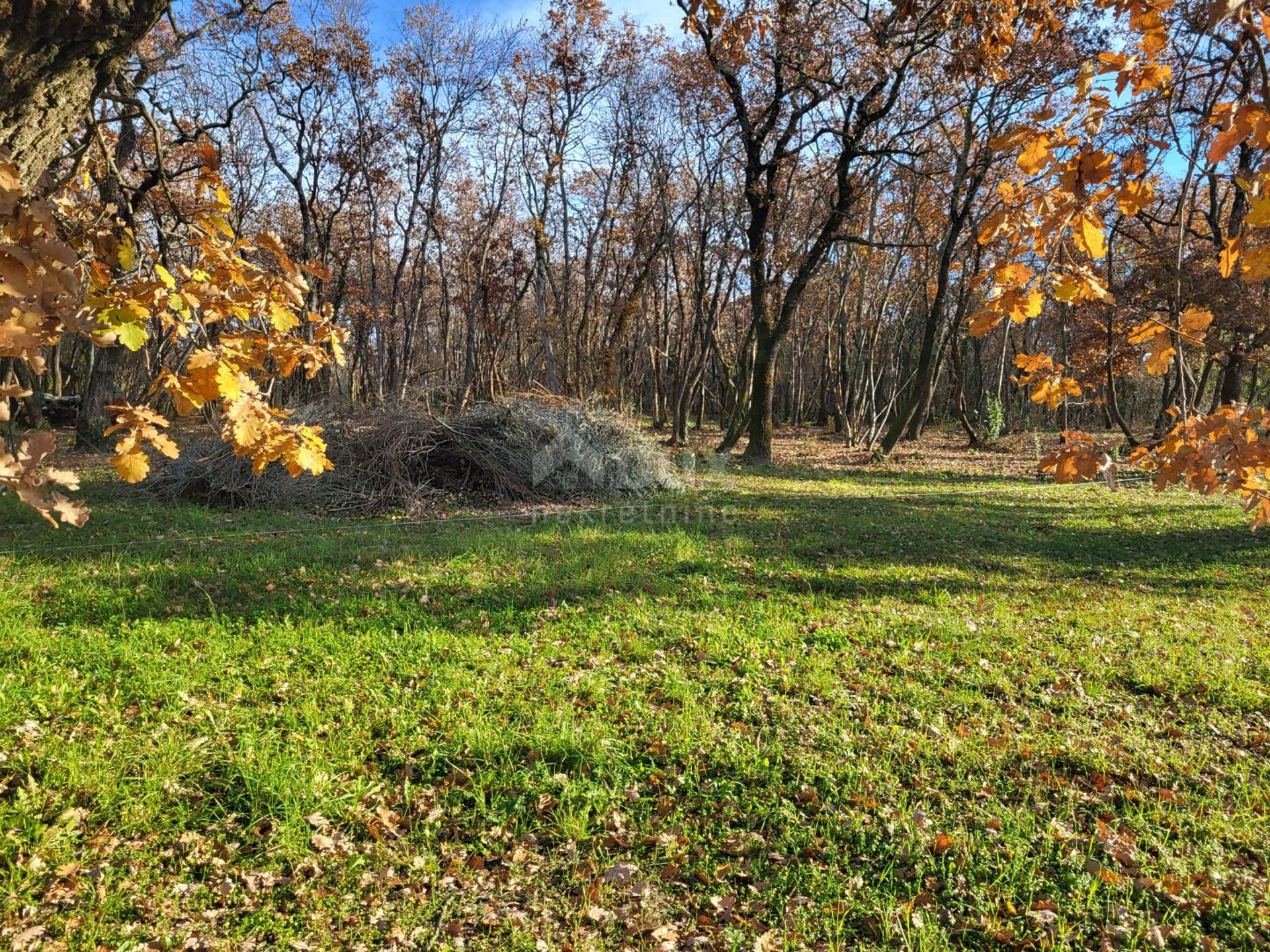 Land in Kmeti, Istarska Zupanija 12455842