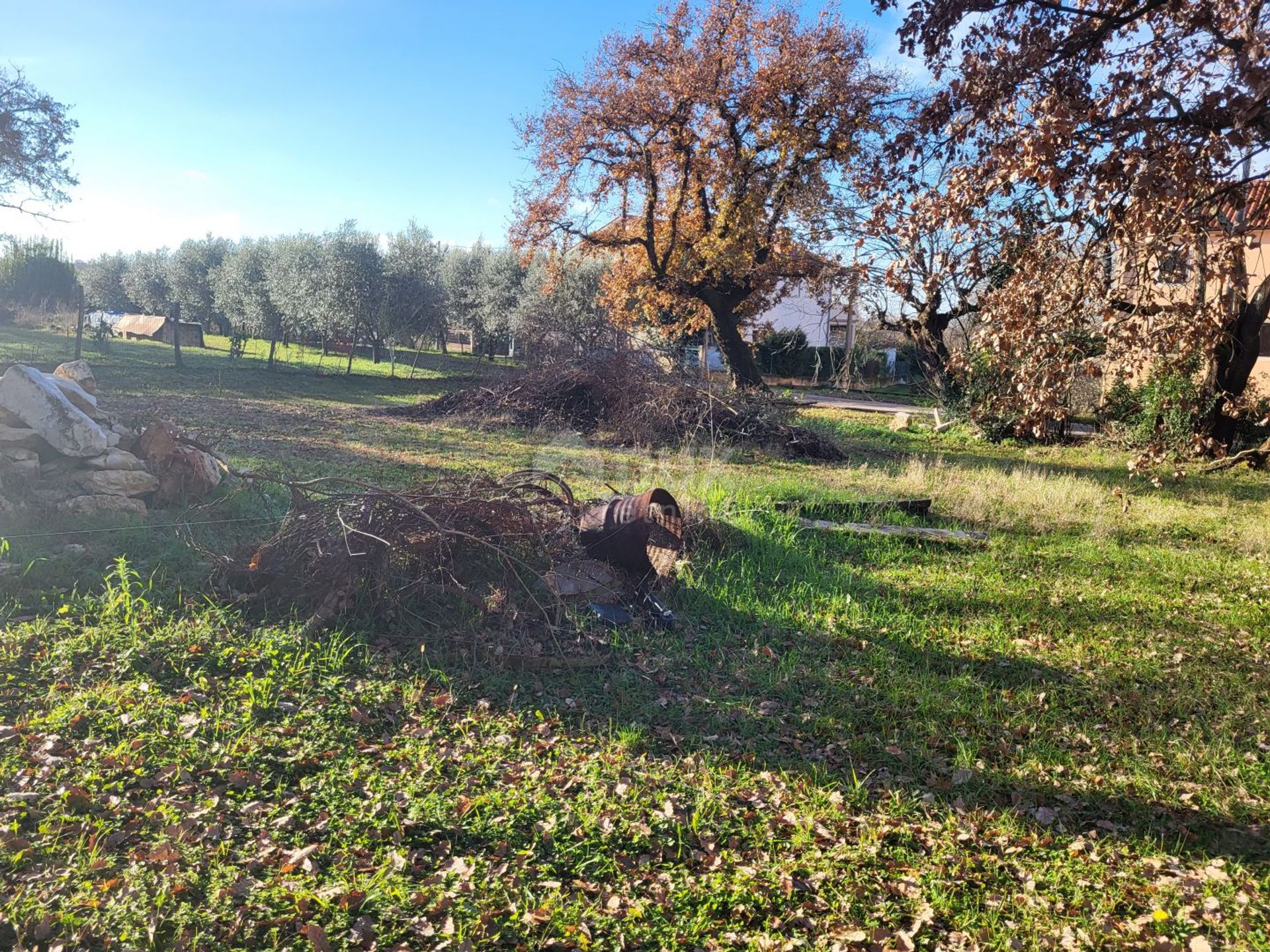 Terra no Valica, Istria County 12455843