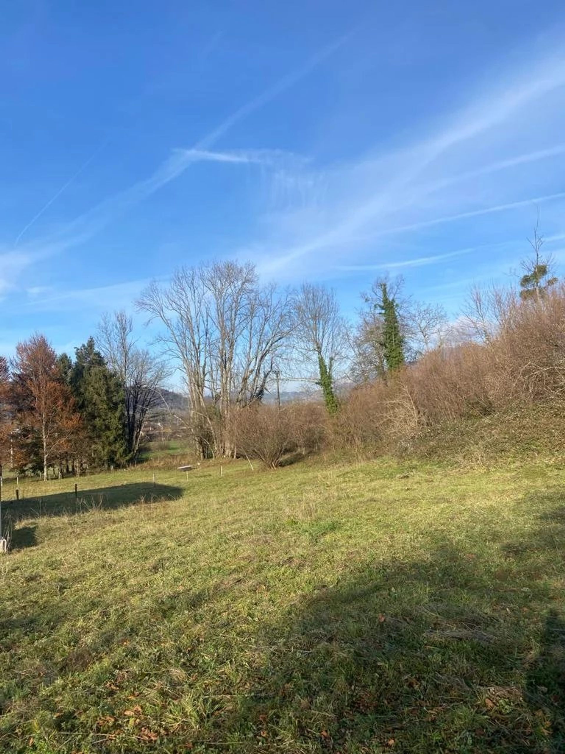 Land in Saint-Laurent-du-Pont, Auvergne-Rhône-Alpes 12457031