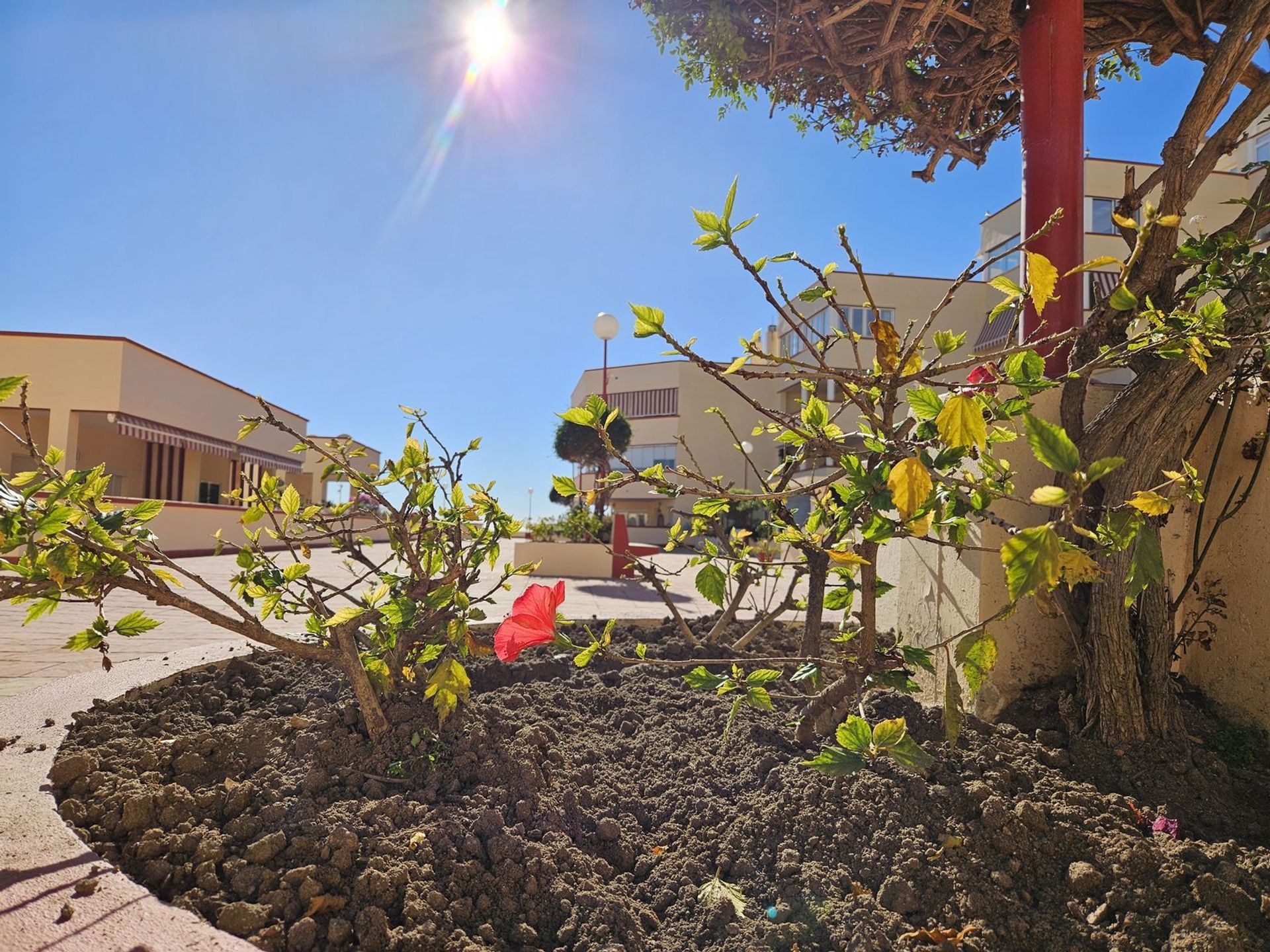 Osakehuoneisto sisään Mijas, Andalucía 12458525