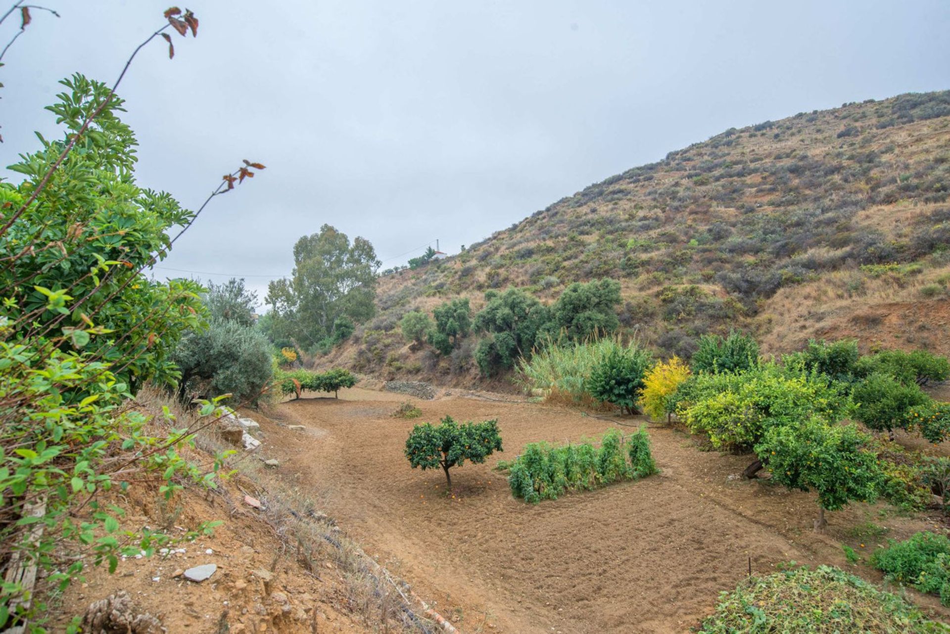 Tanah di Mijas, Andalusia 12461661