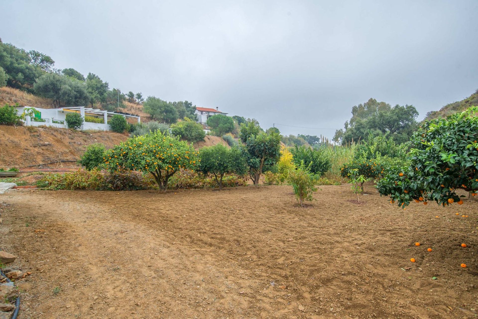 Tanah di Mijas, Andalusia 12461661