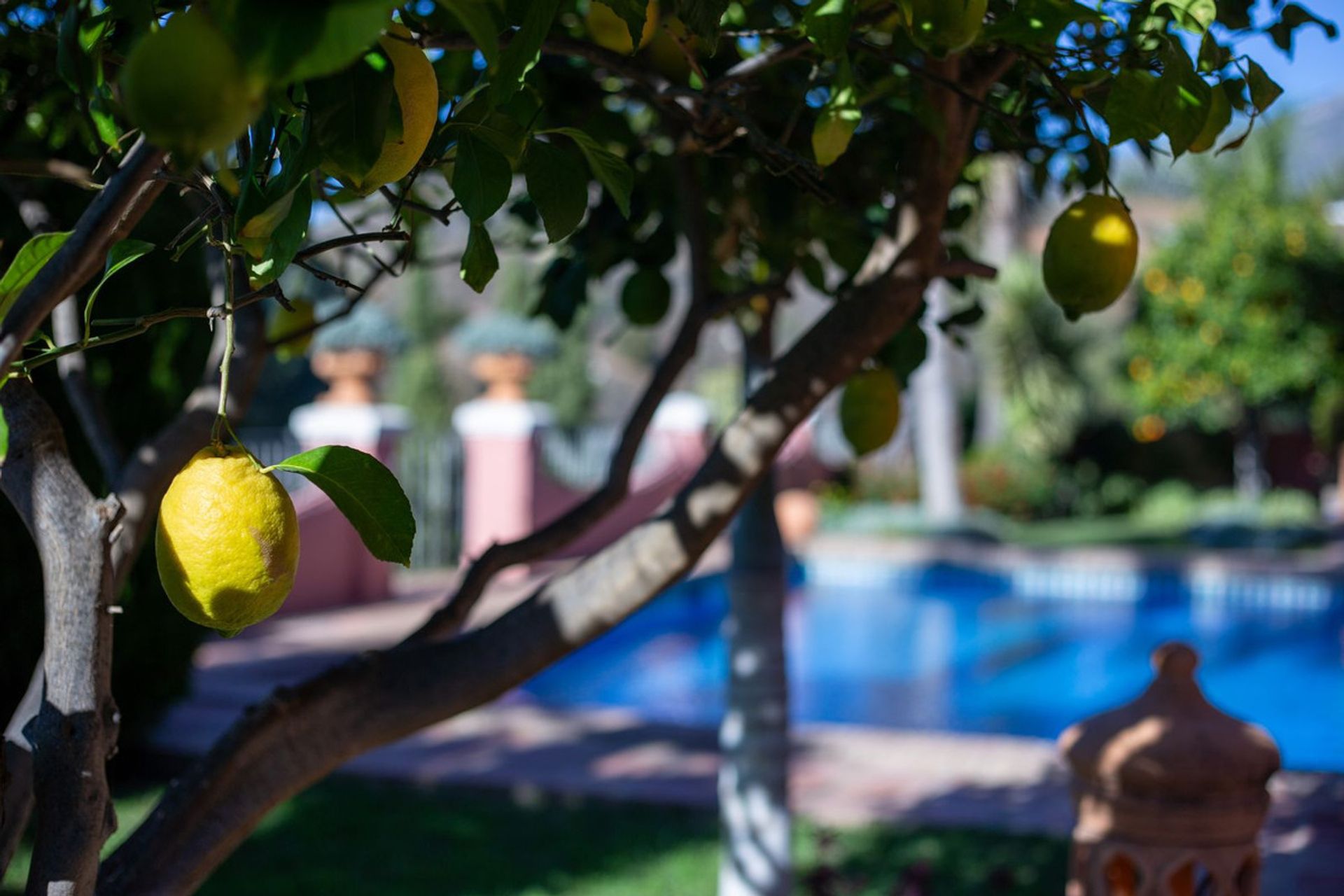 Huis in Las Lagunas de Mijas, Andalucía 12463848