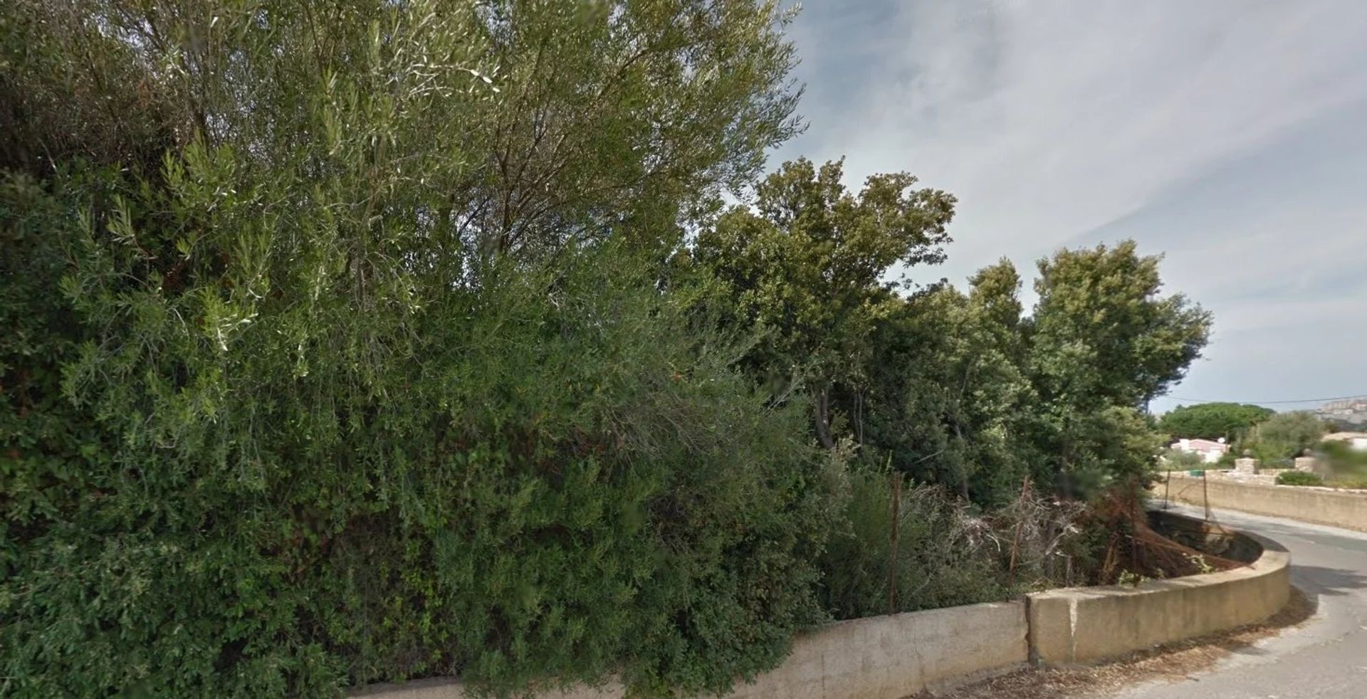 Land in Calvi, Haute-Corse 12464111