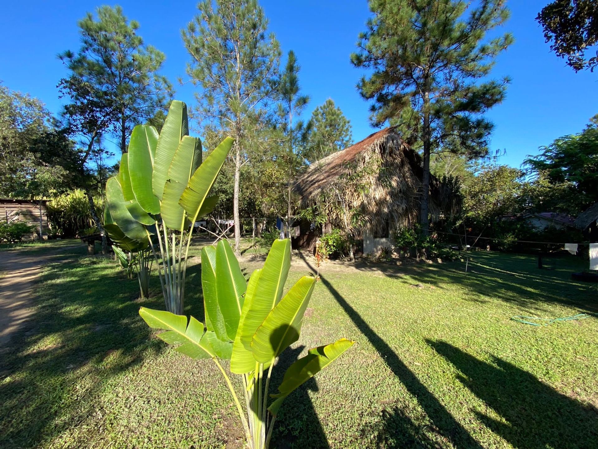 Muu sisään Benque Viejo el Carmen, Cayo 12464177