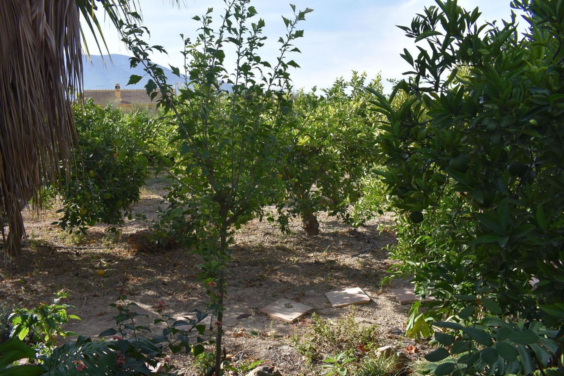 Talo sisään Alhaurín el Grande, Andalusia 12465137