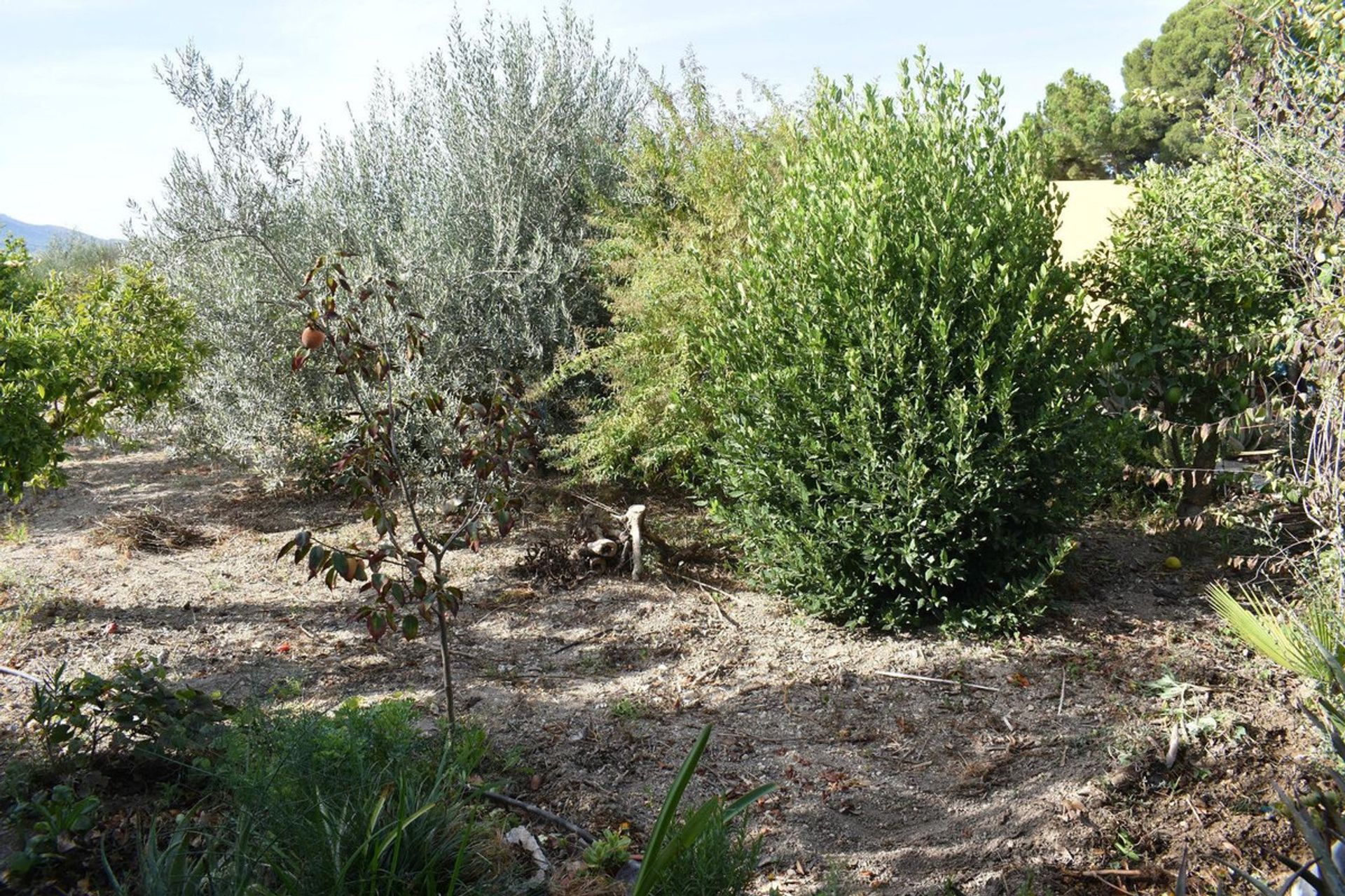 Talo sisään Alhaurín el Grande, Andalusia 12465137